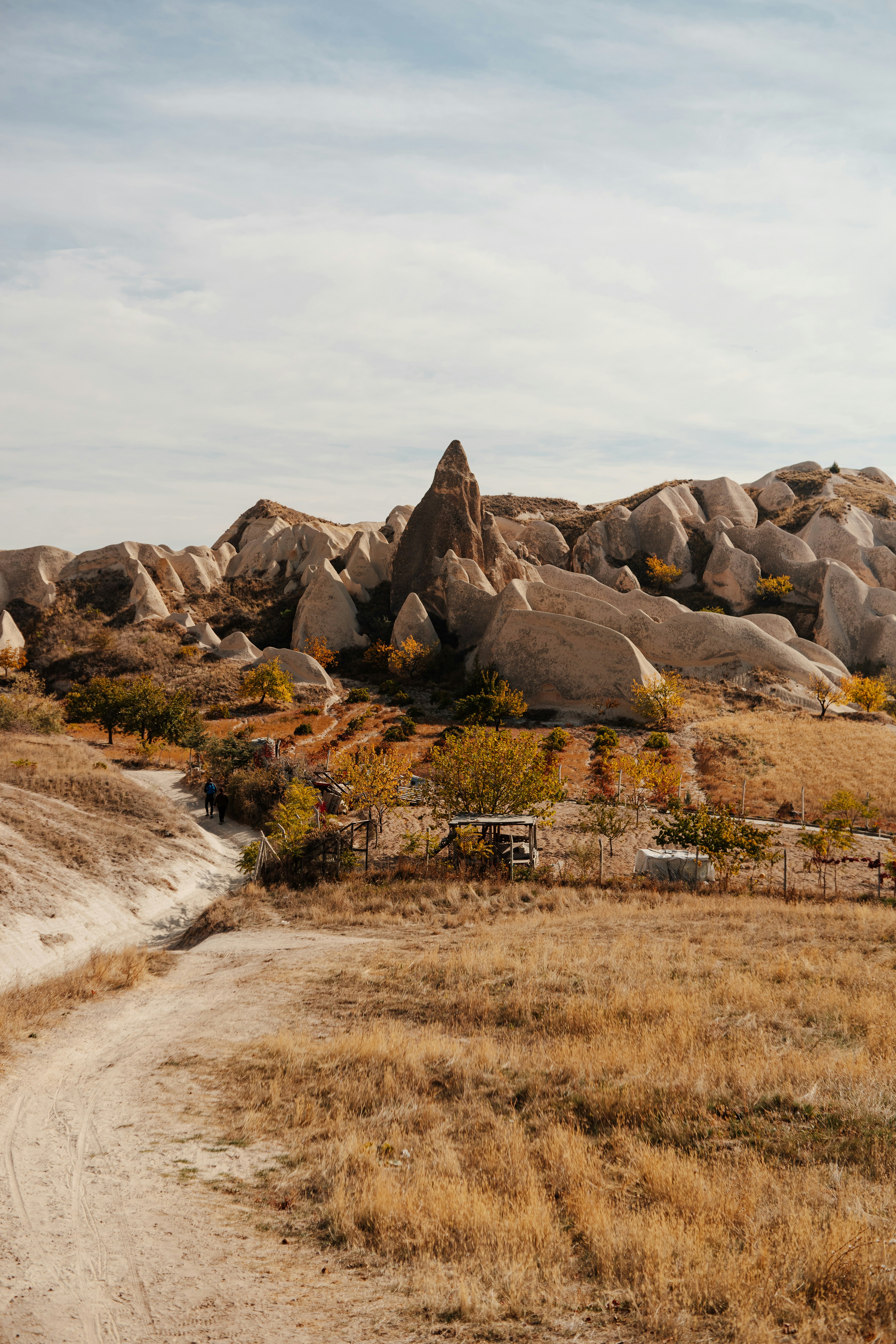 Photo by igorharrier