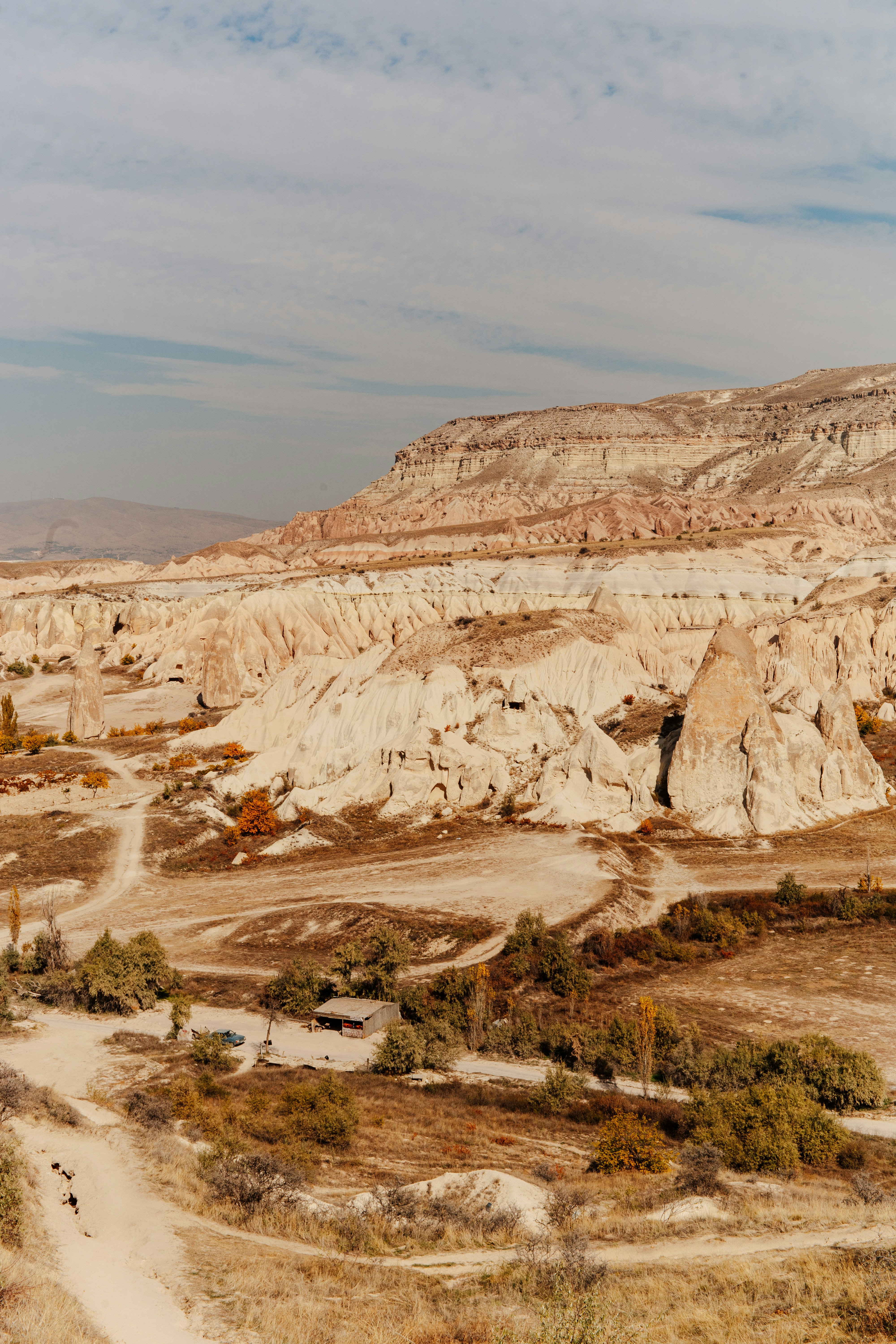 Photo by igorharrier