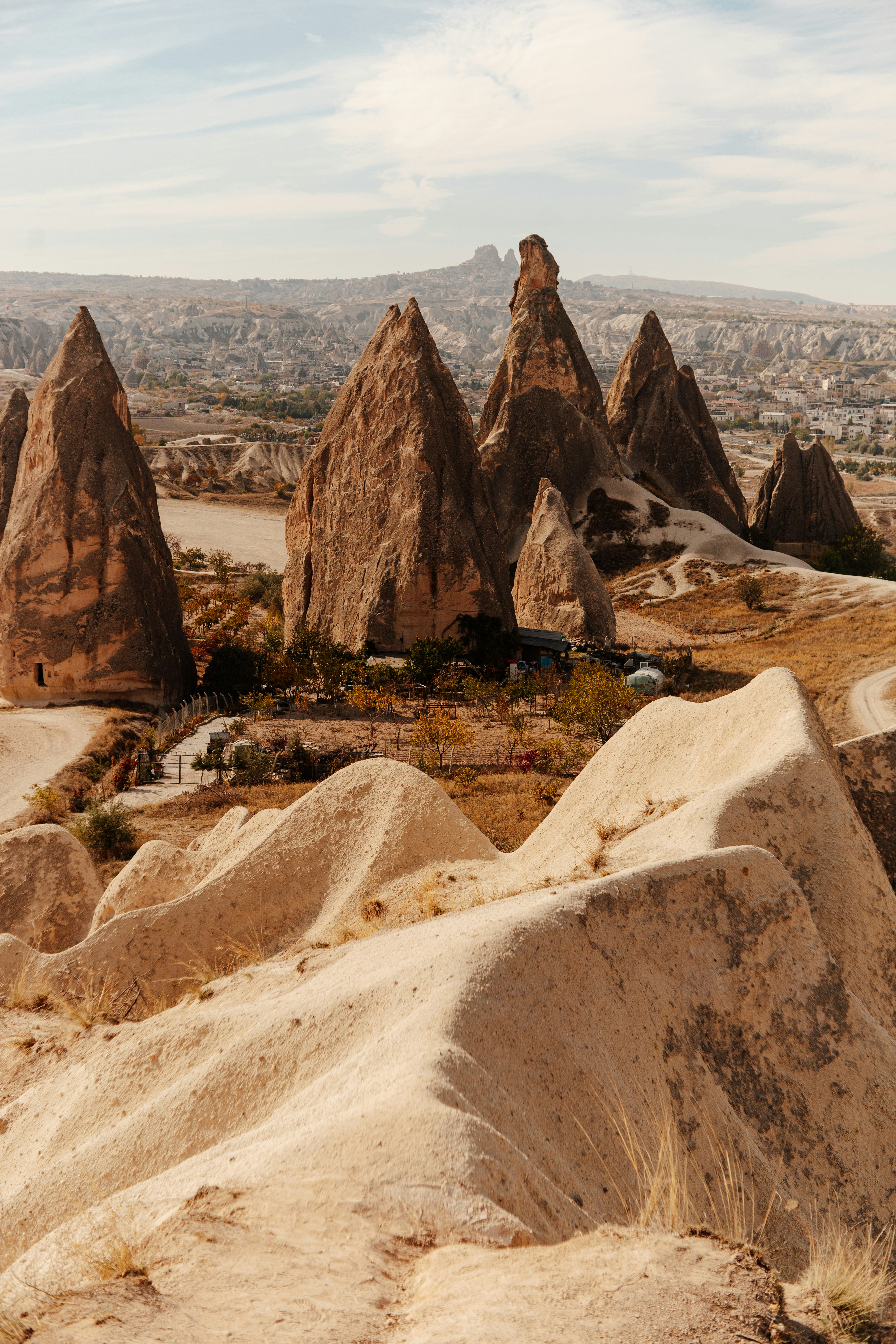 Photo by igorharrier