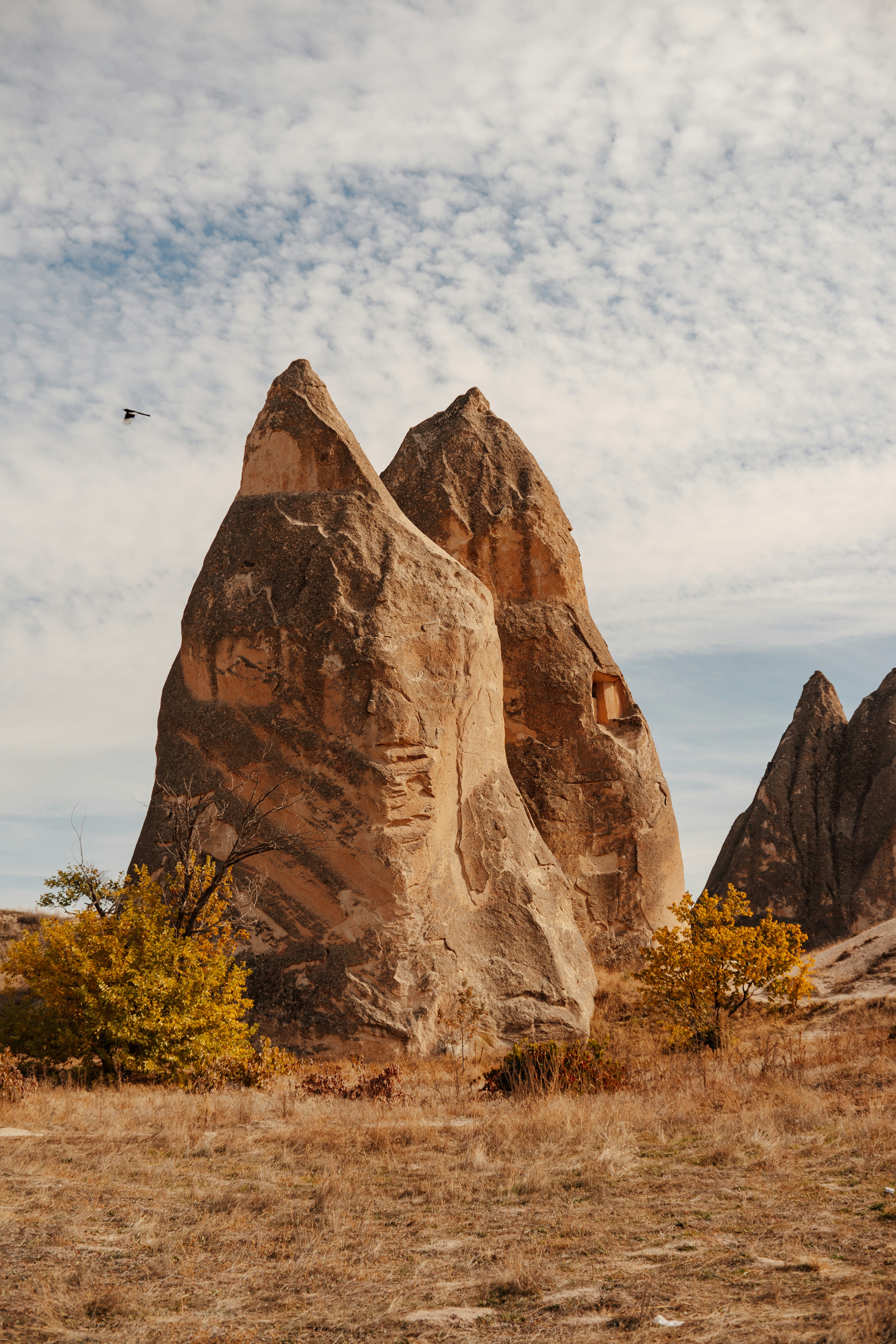 Photo by igorharrier