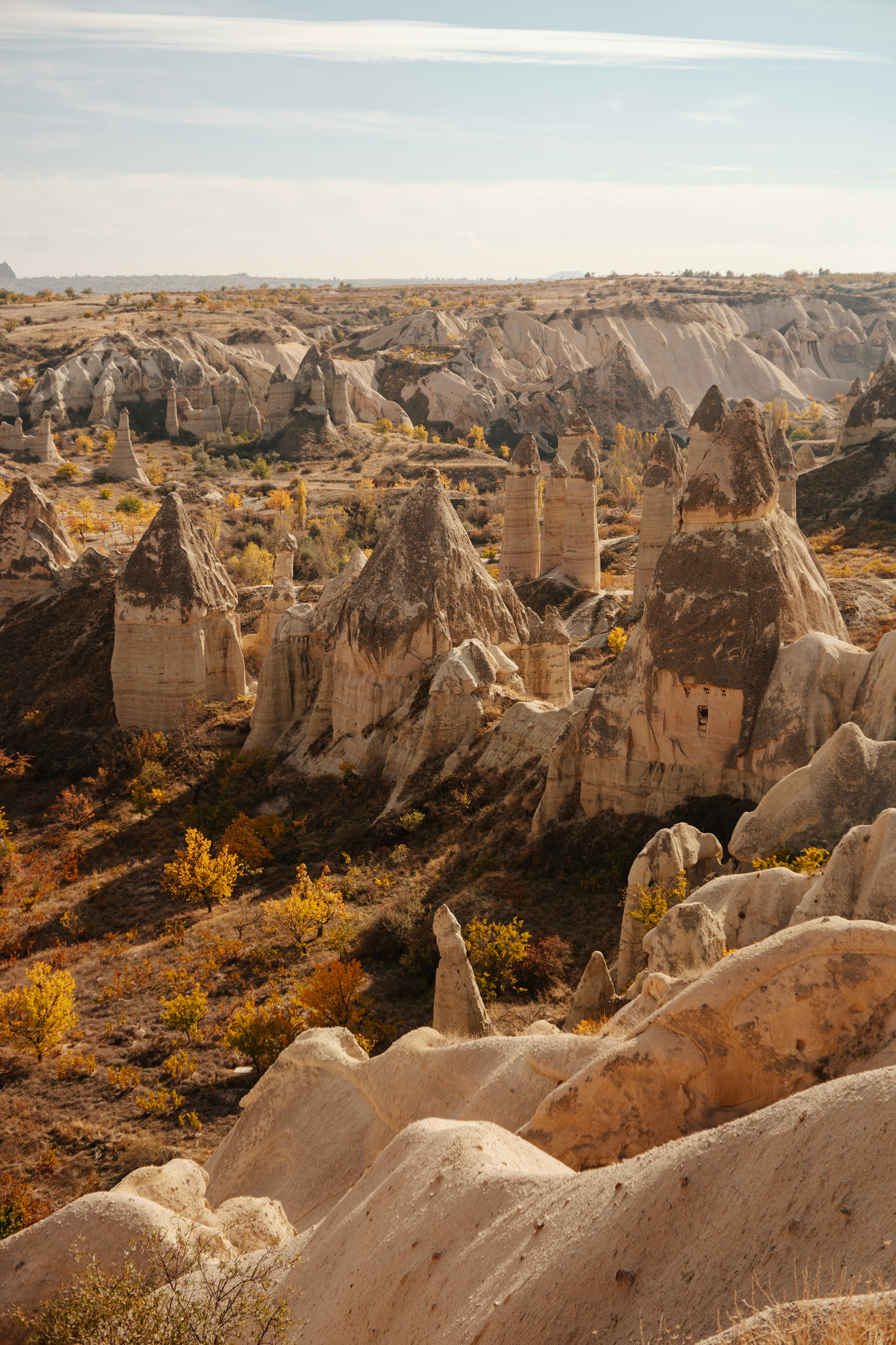 Photo by igorharrier