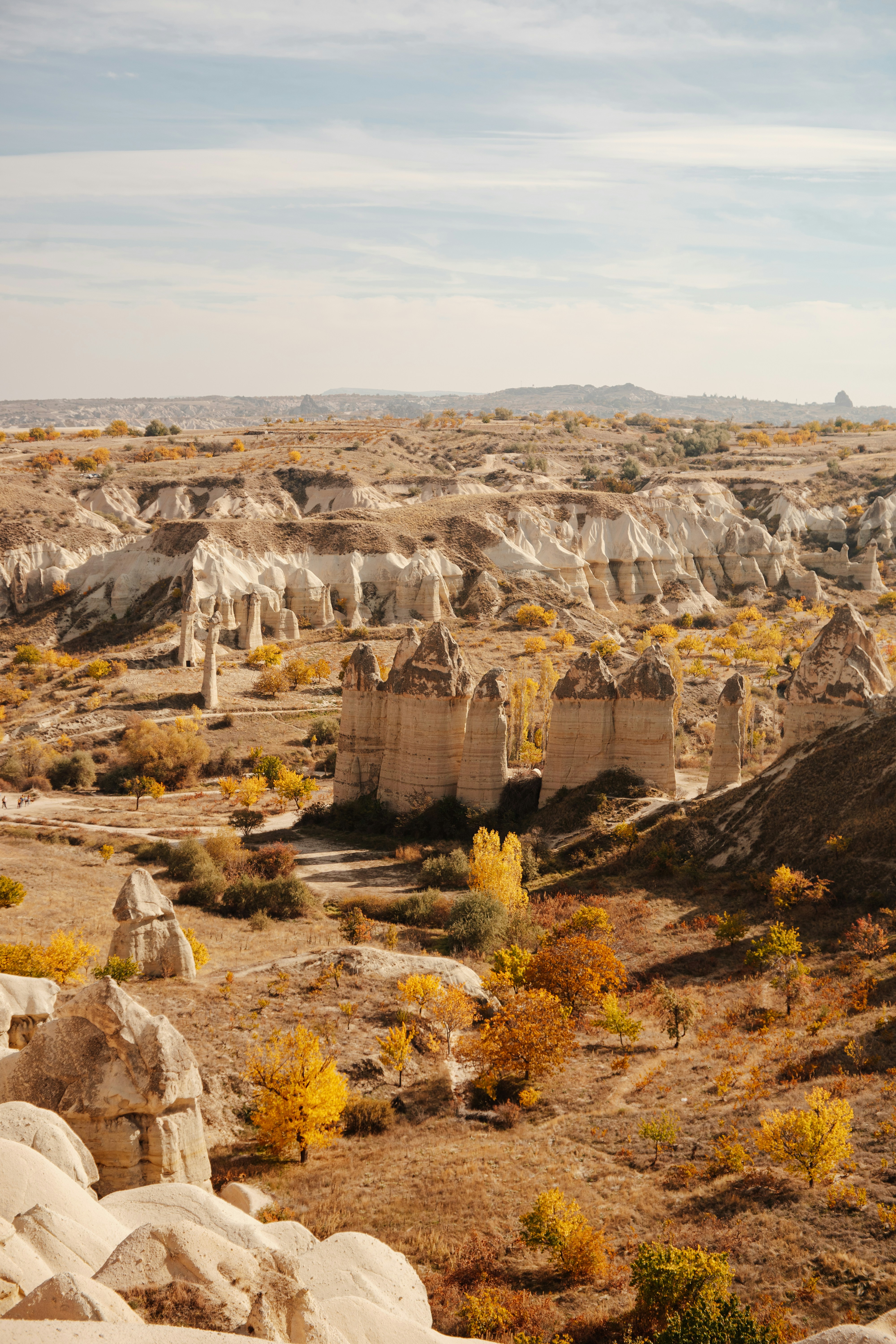 Photo by igorharrier