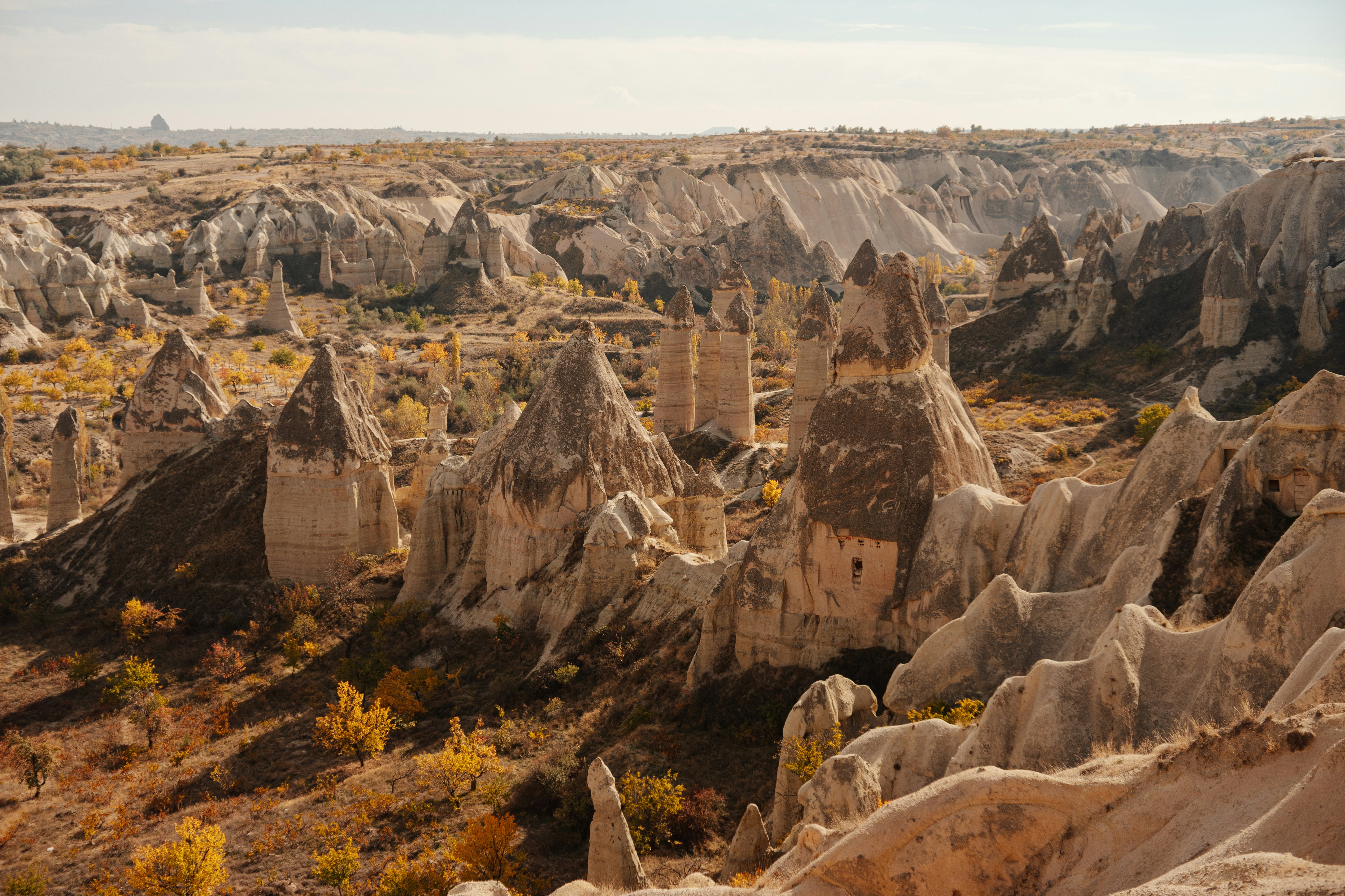 Photo by igorharrier