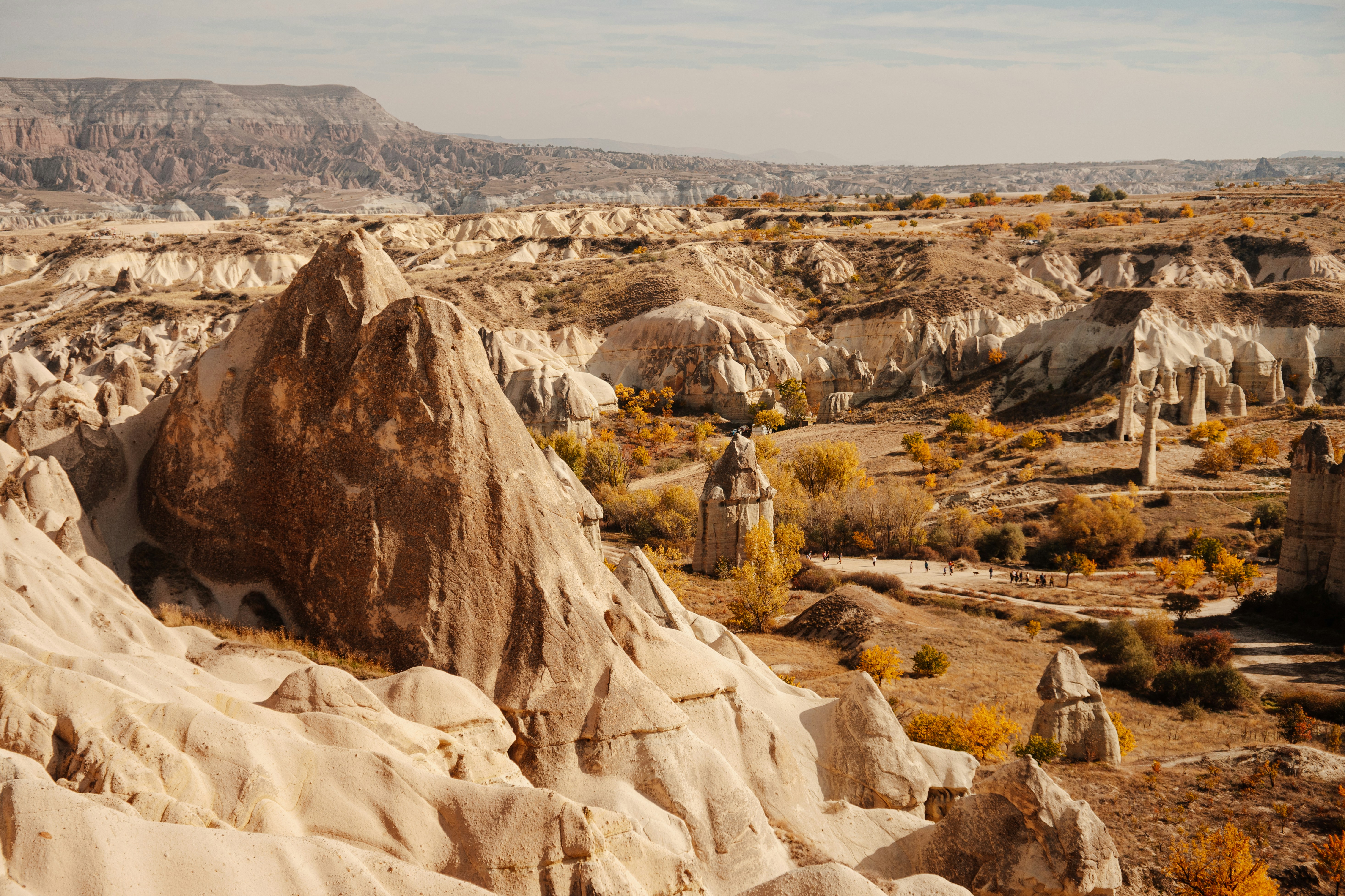 Photo by igorharrier