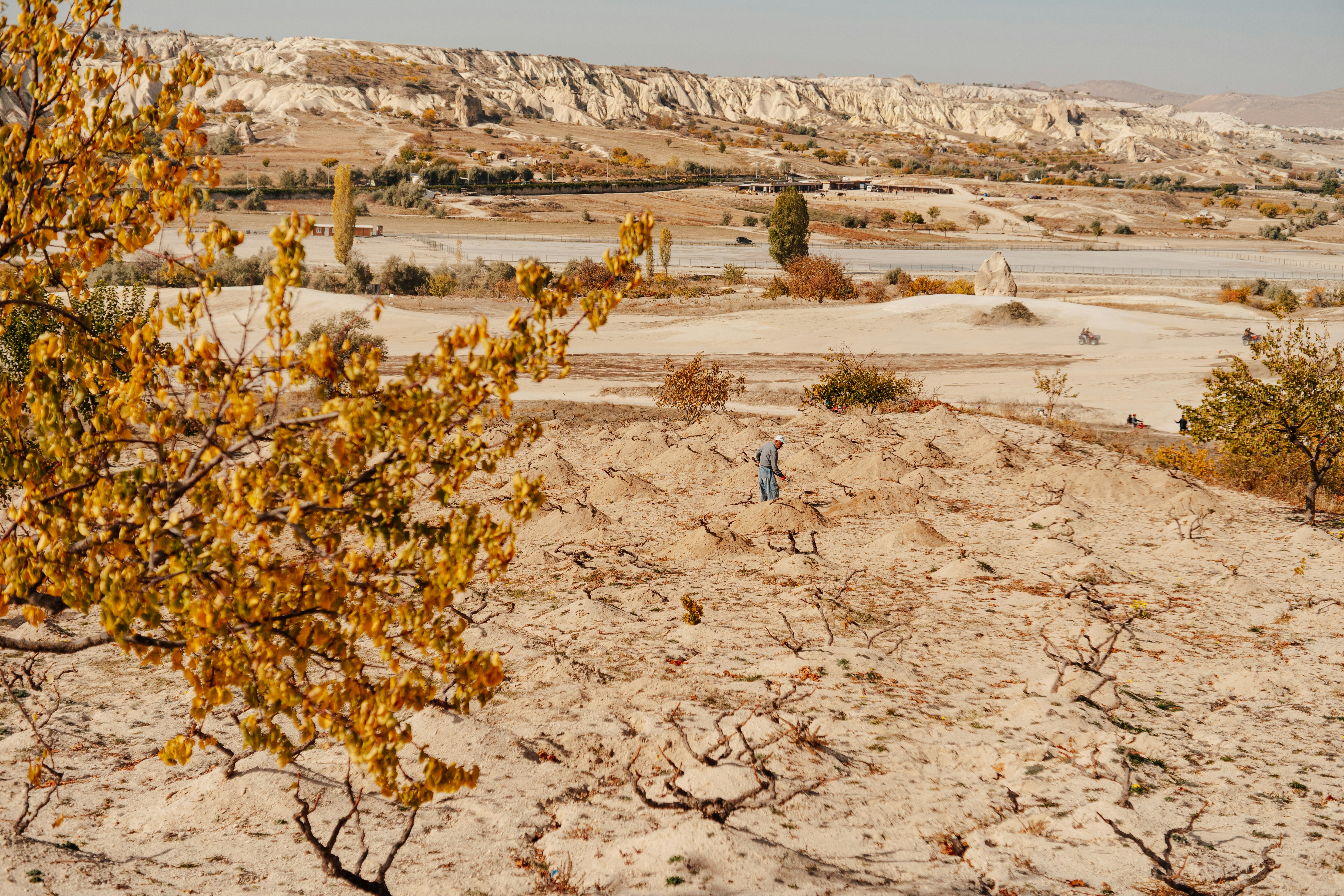 Sýria v kríze: Násilie, sucho a požiare