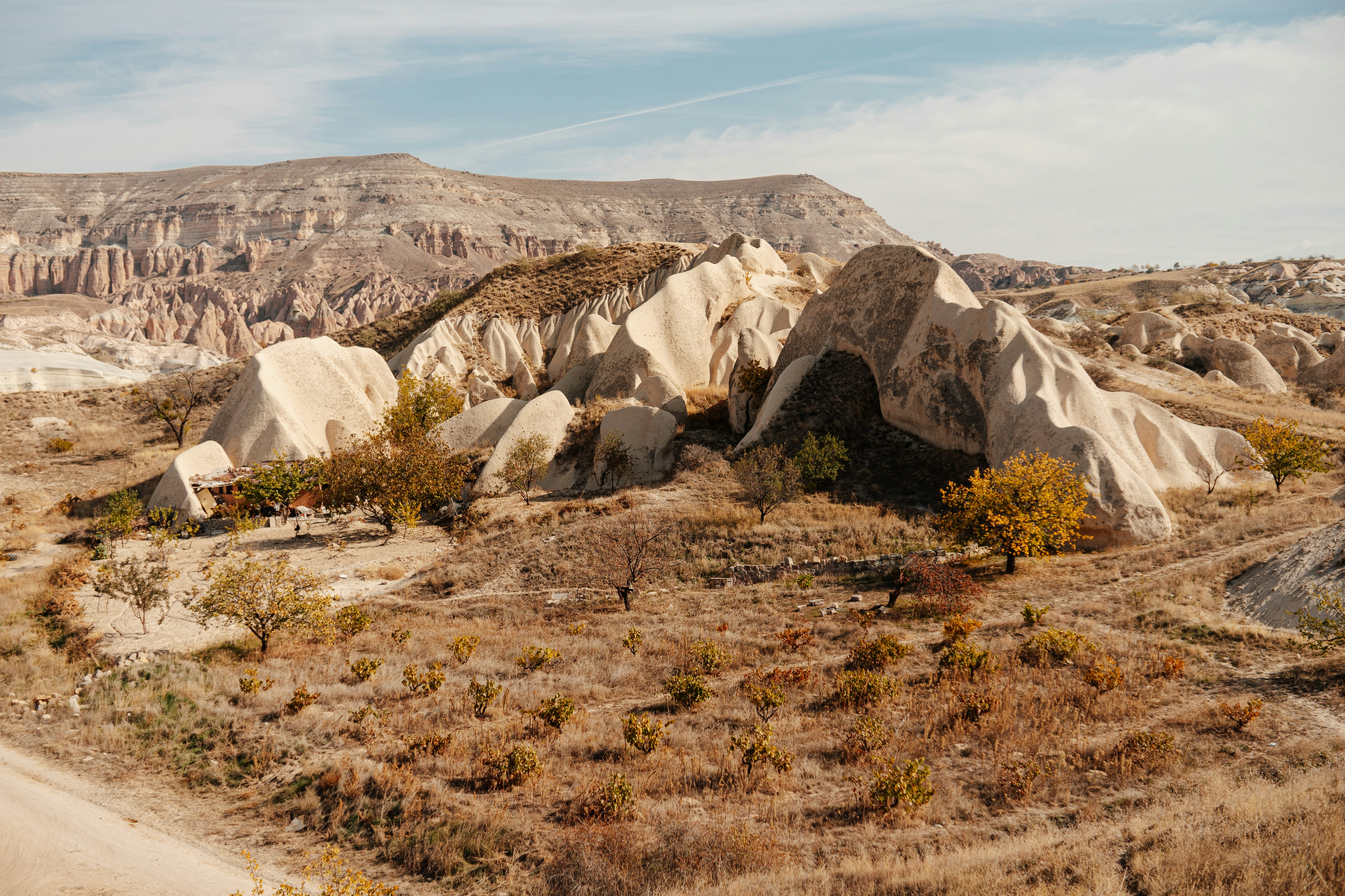 Photo by igorharrier