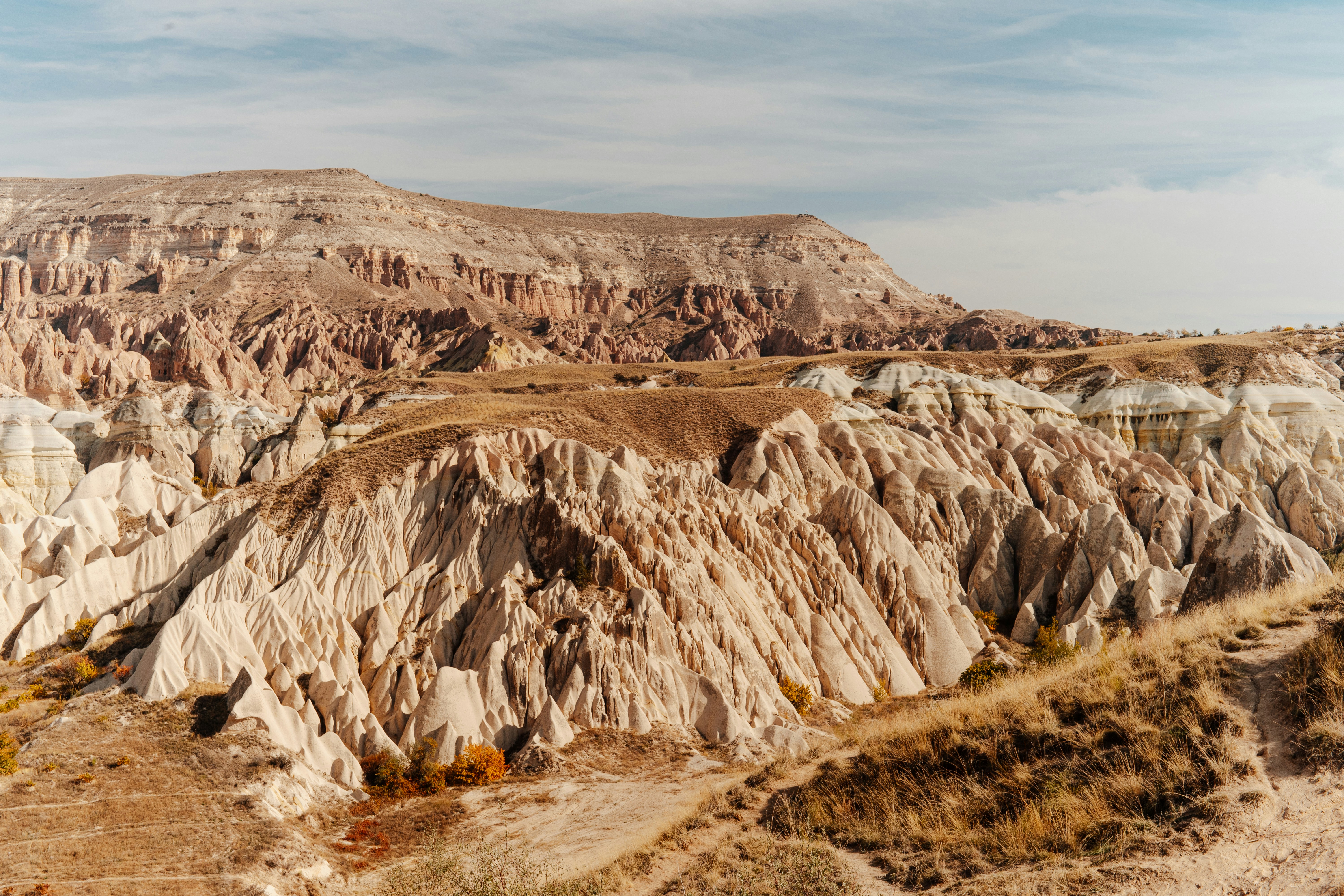 Photo by igorharrier