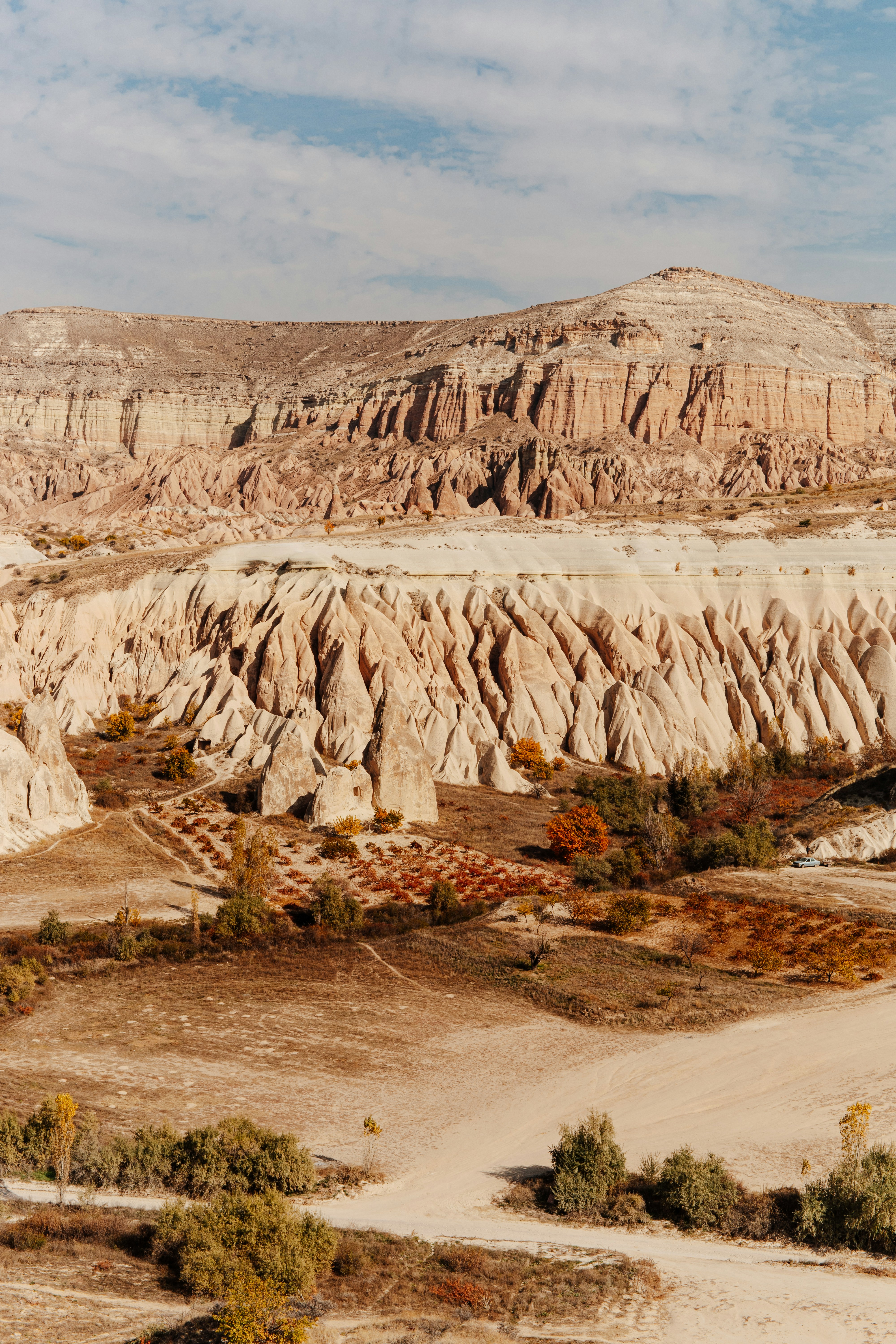 Photo by igorharrier