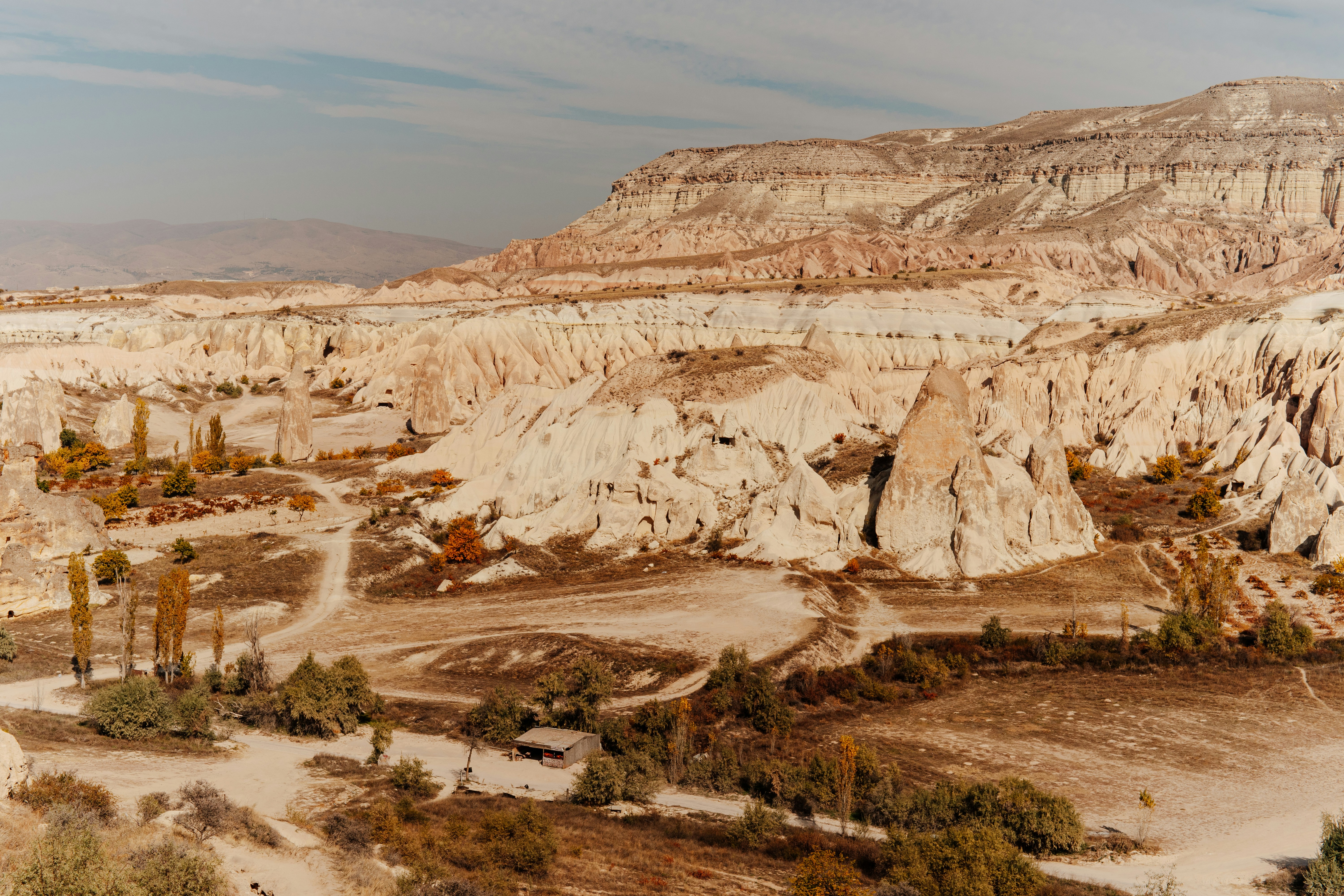 Photo by igorharrier