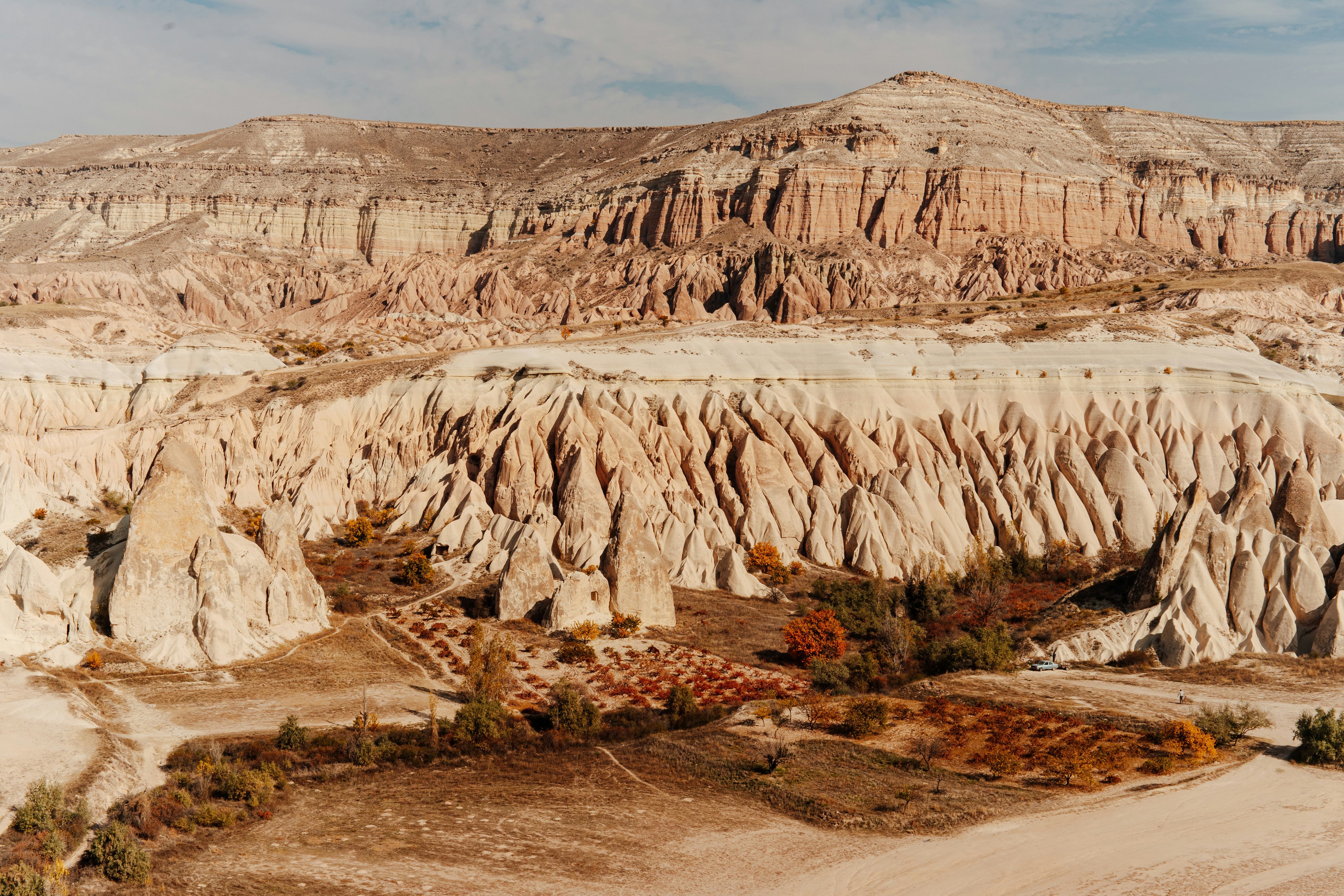 Photo by igorharrier