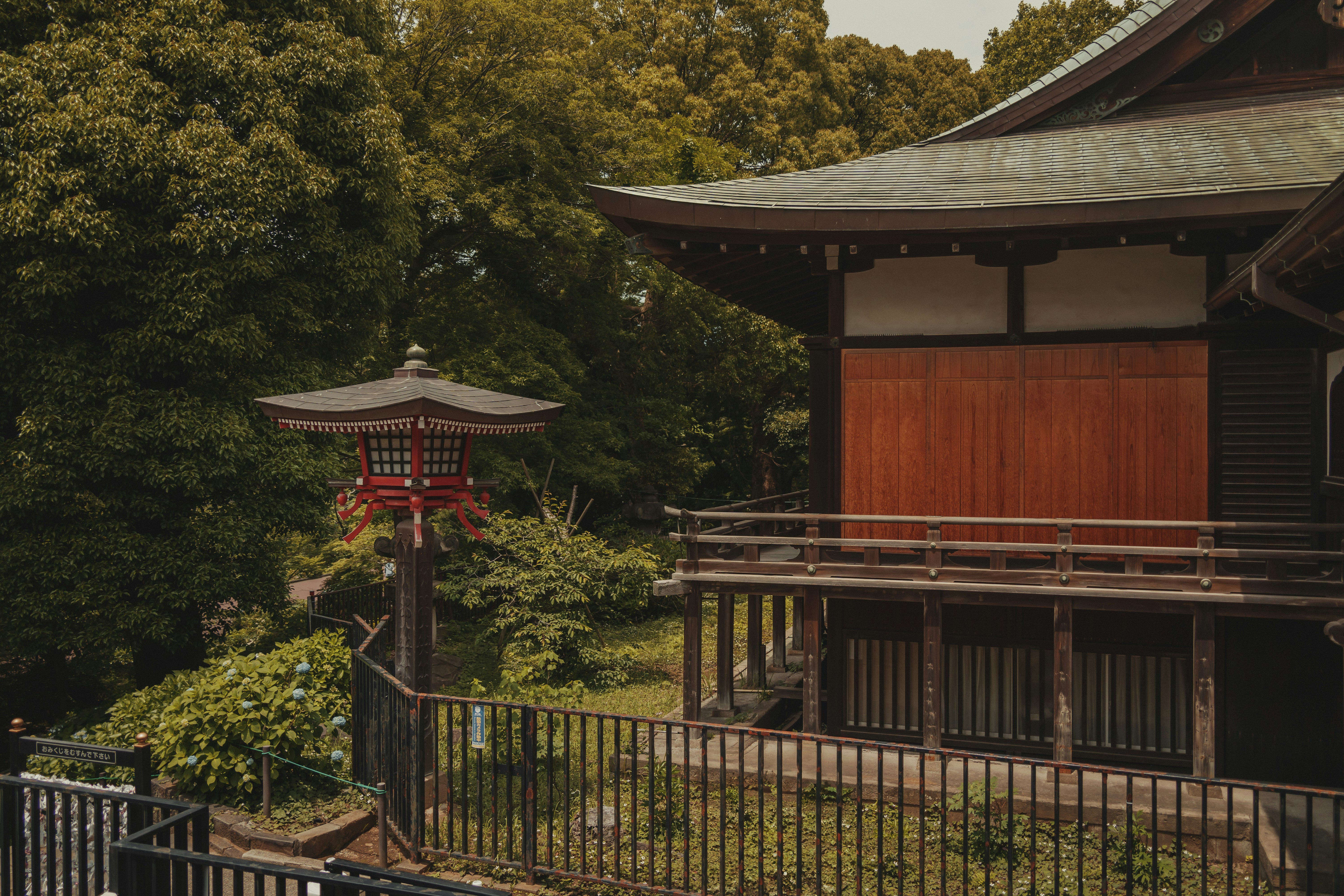 Photo by pino_rumbero