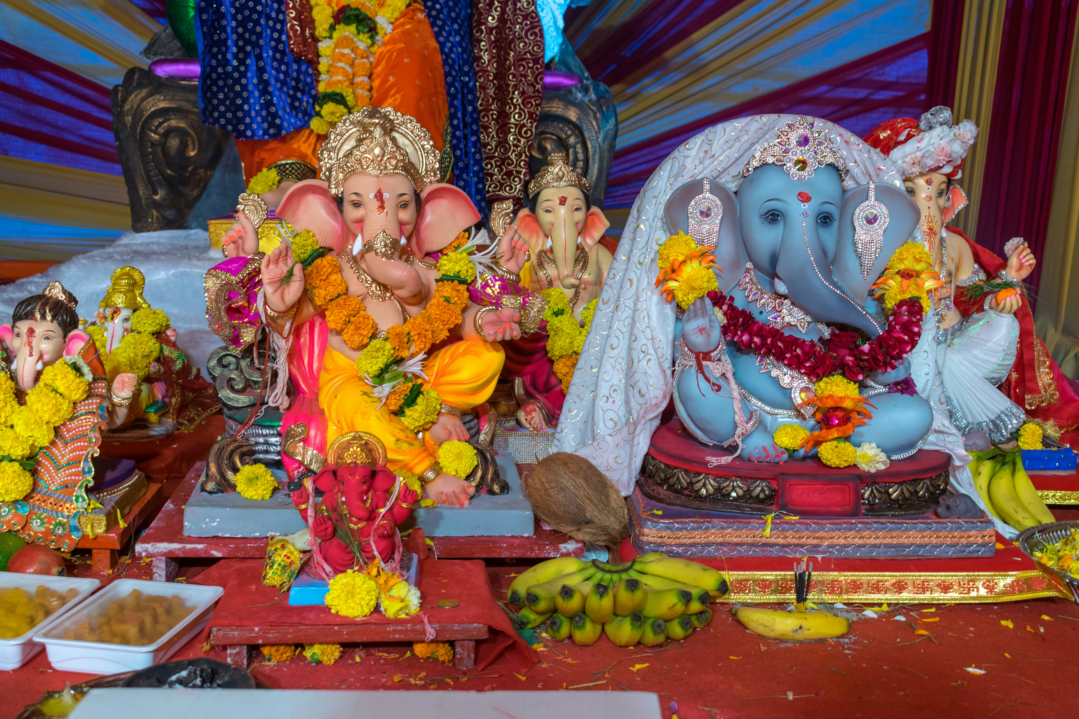 Photo by sonika_agarwal