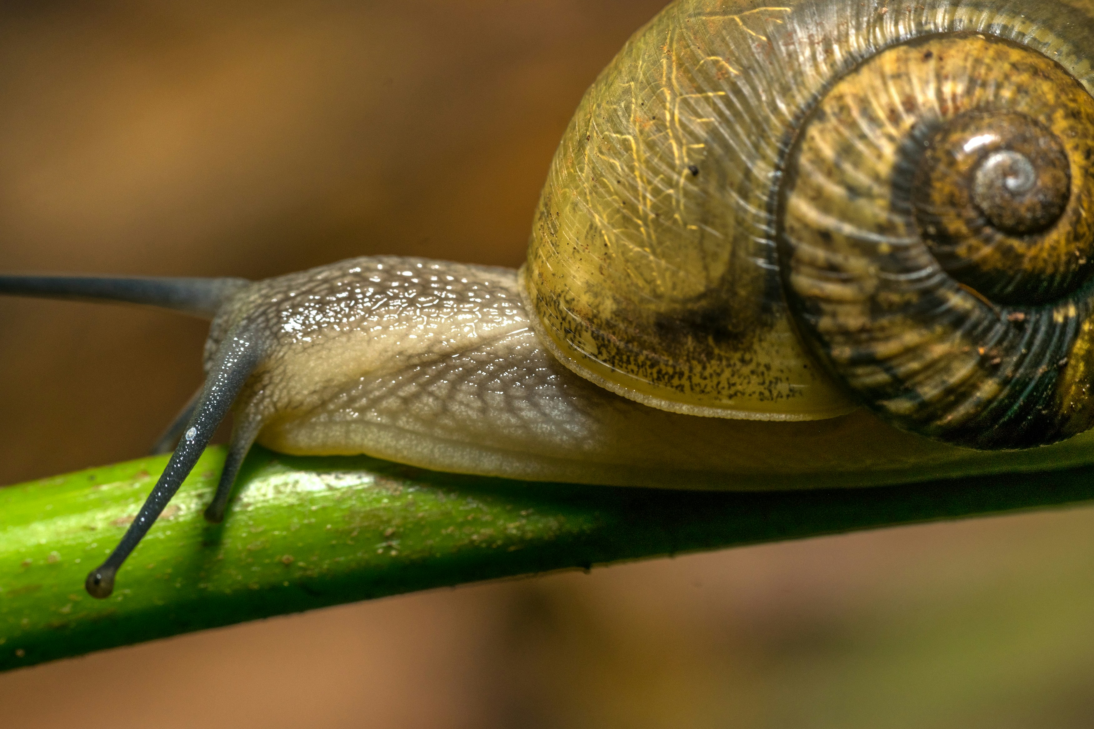 Photo by sonika_agarwal