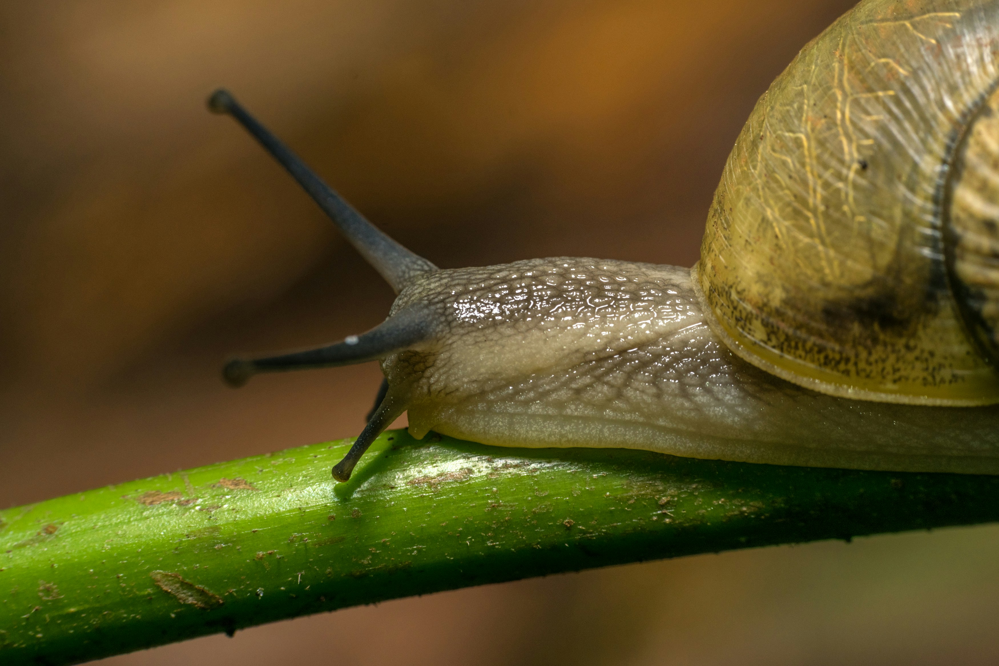 Photo by sonika_agarwal