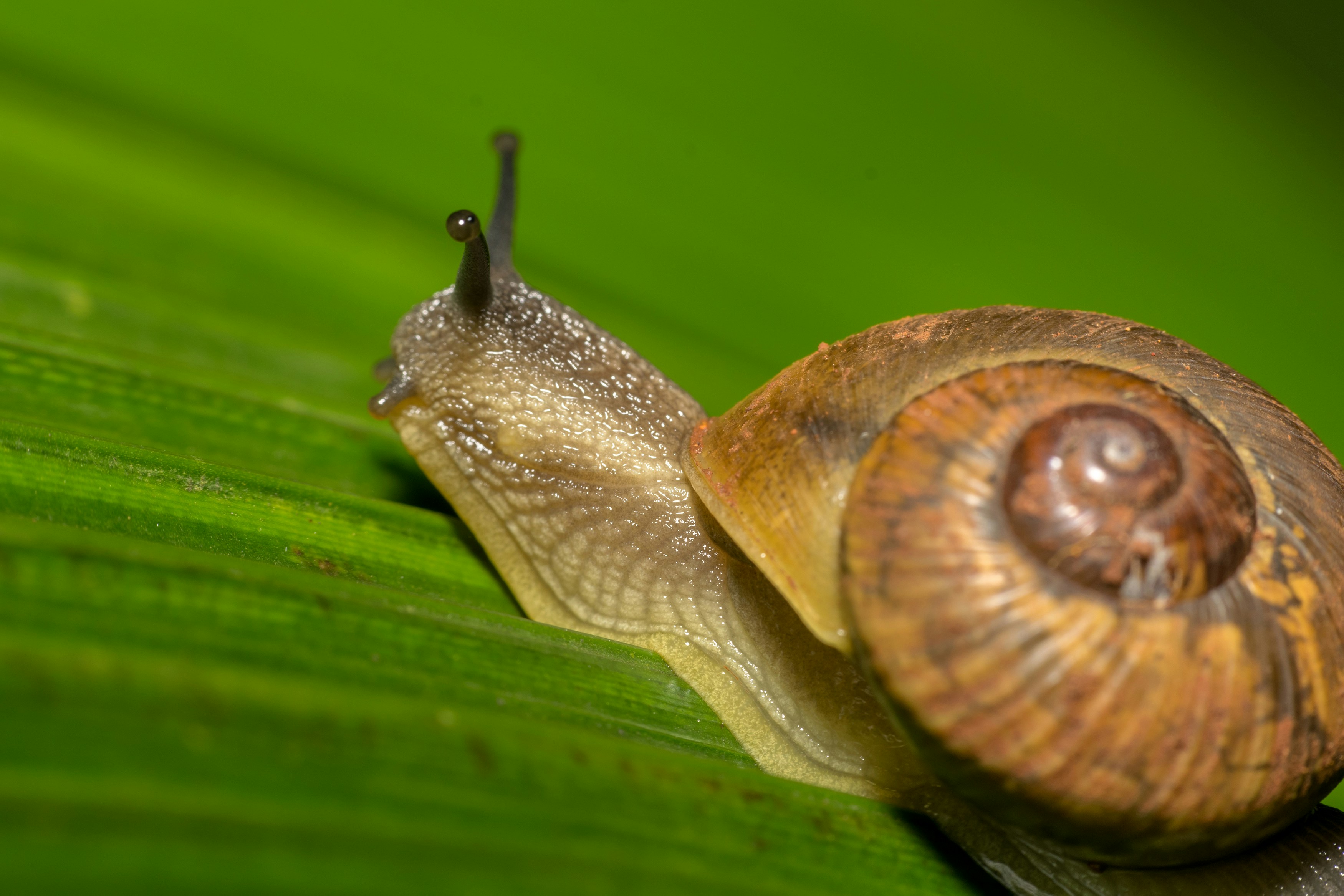 Photo by sonika_agarwal