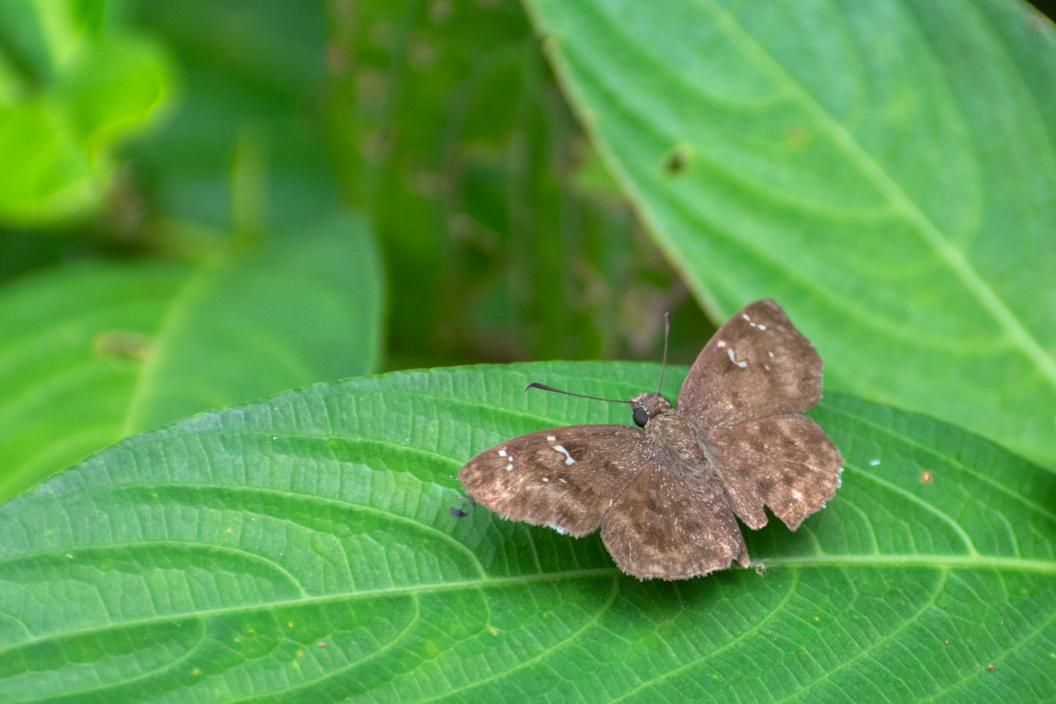 Photo by sonika_agarwal