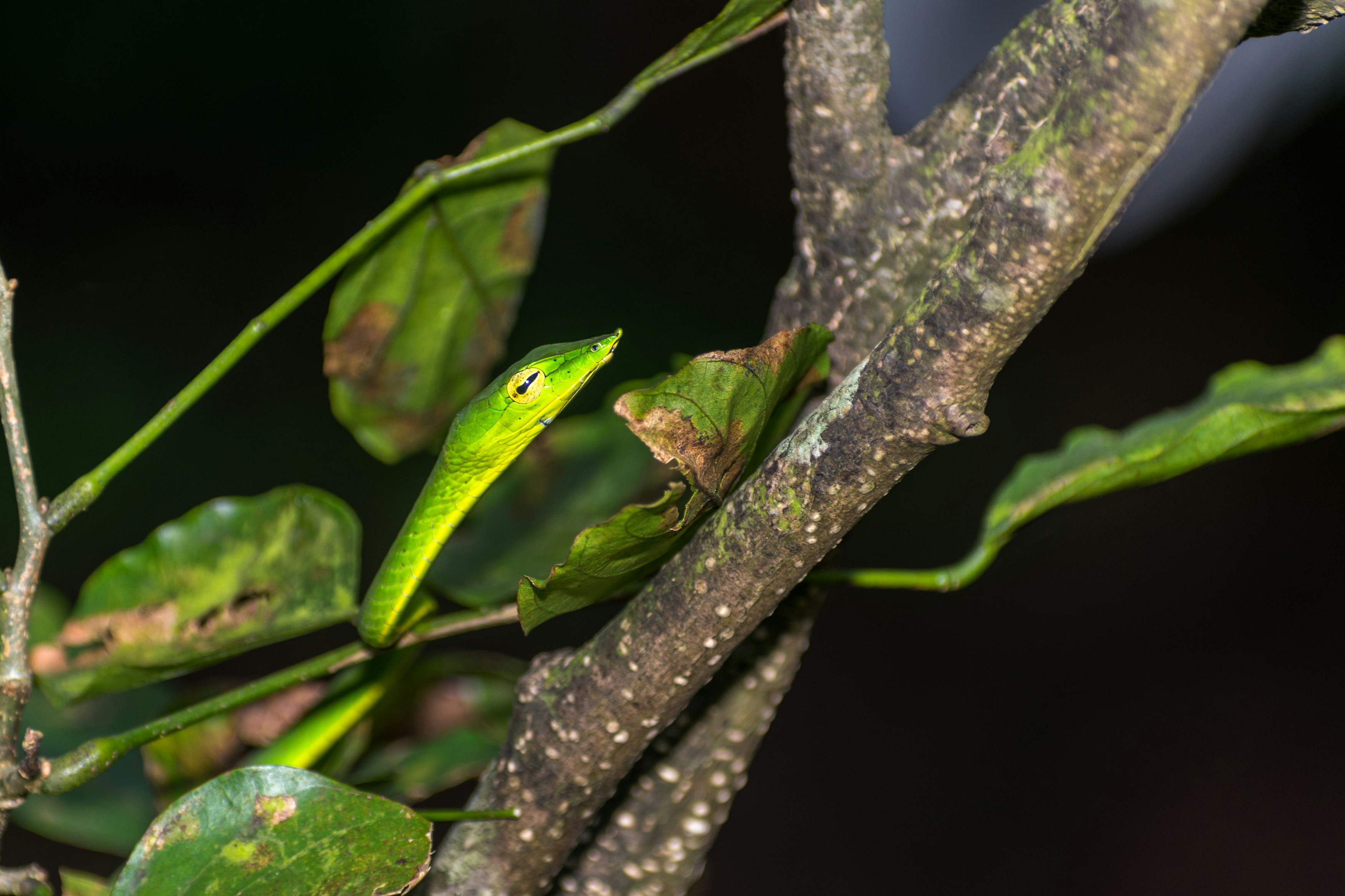 Photo by sonika_agarwal