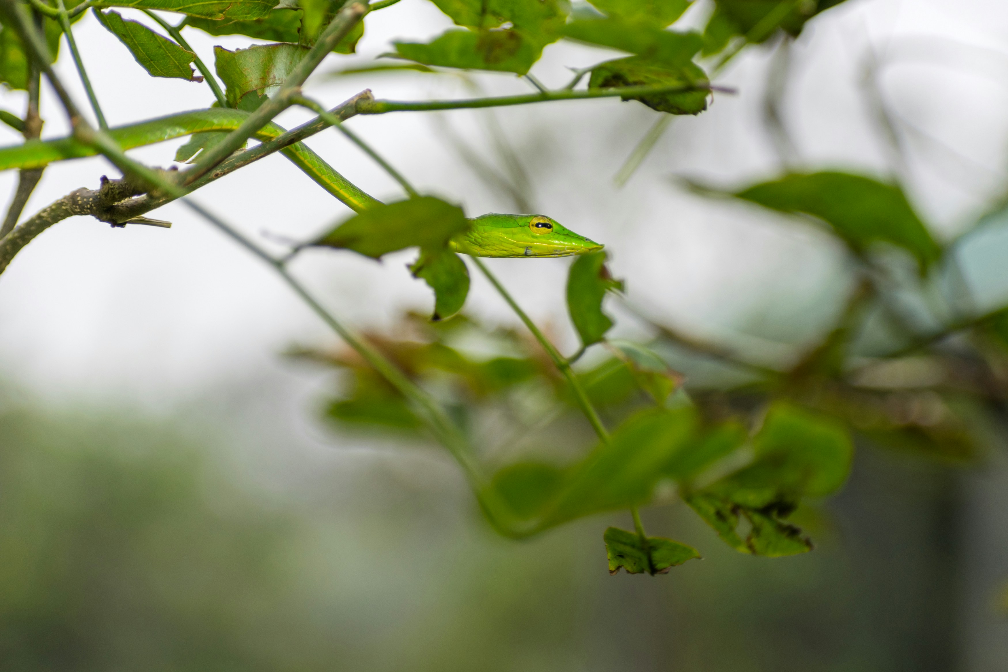 Photo by sonika_agarwal