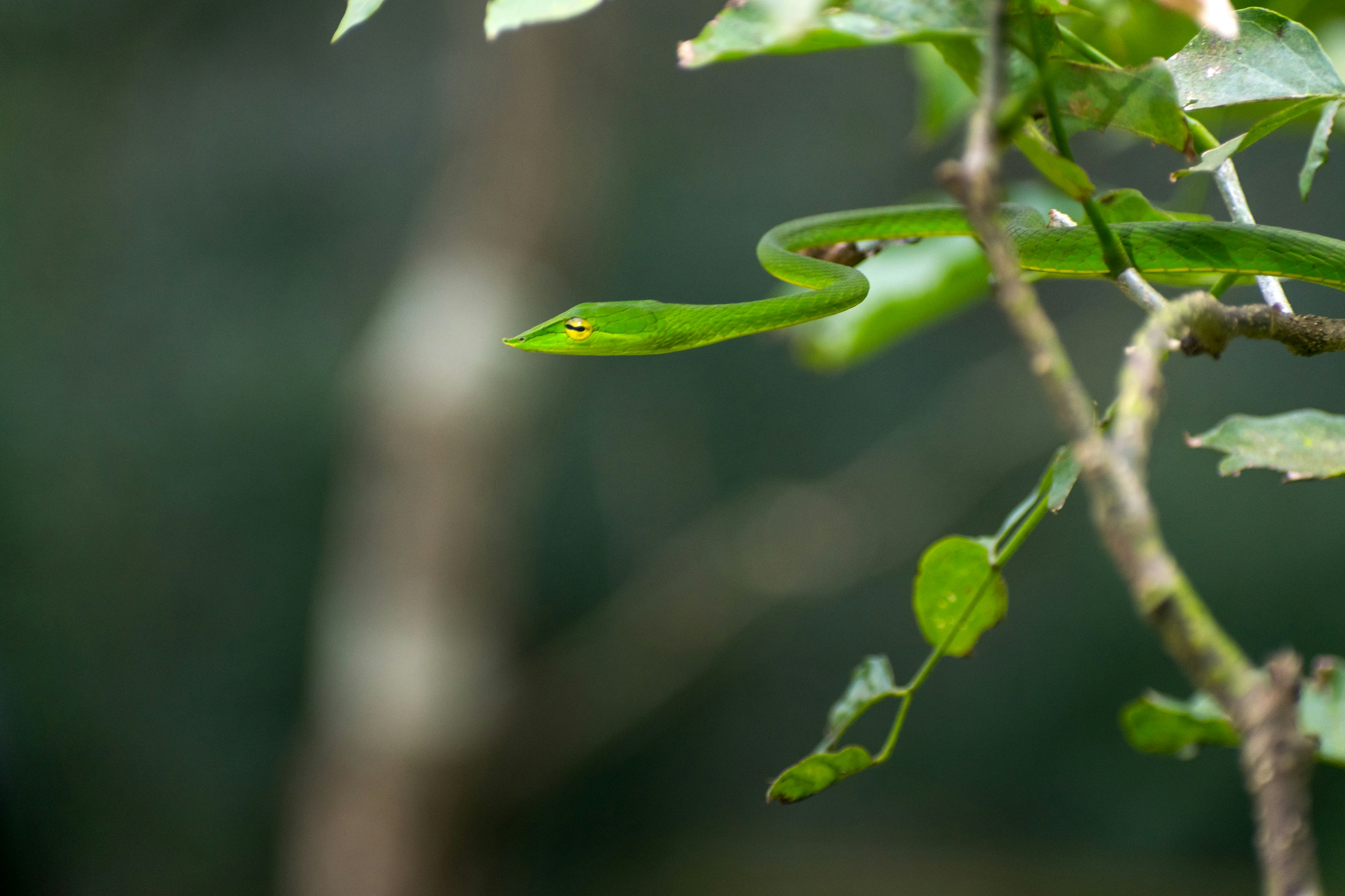 Photo by sonika_agarwal