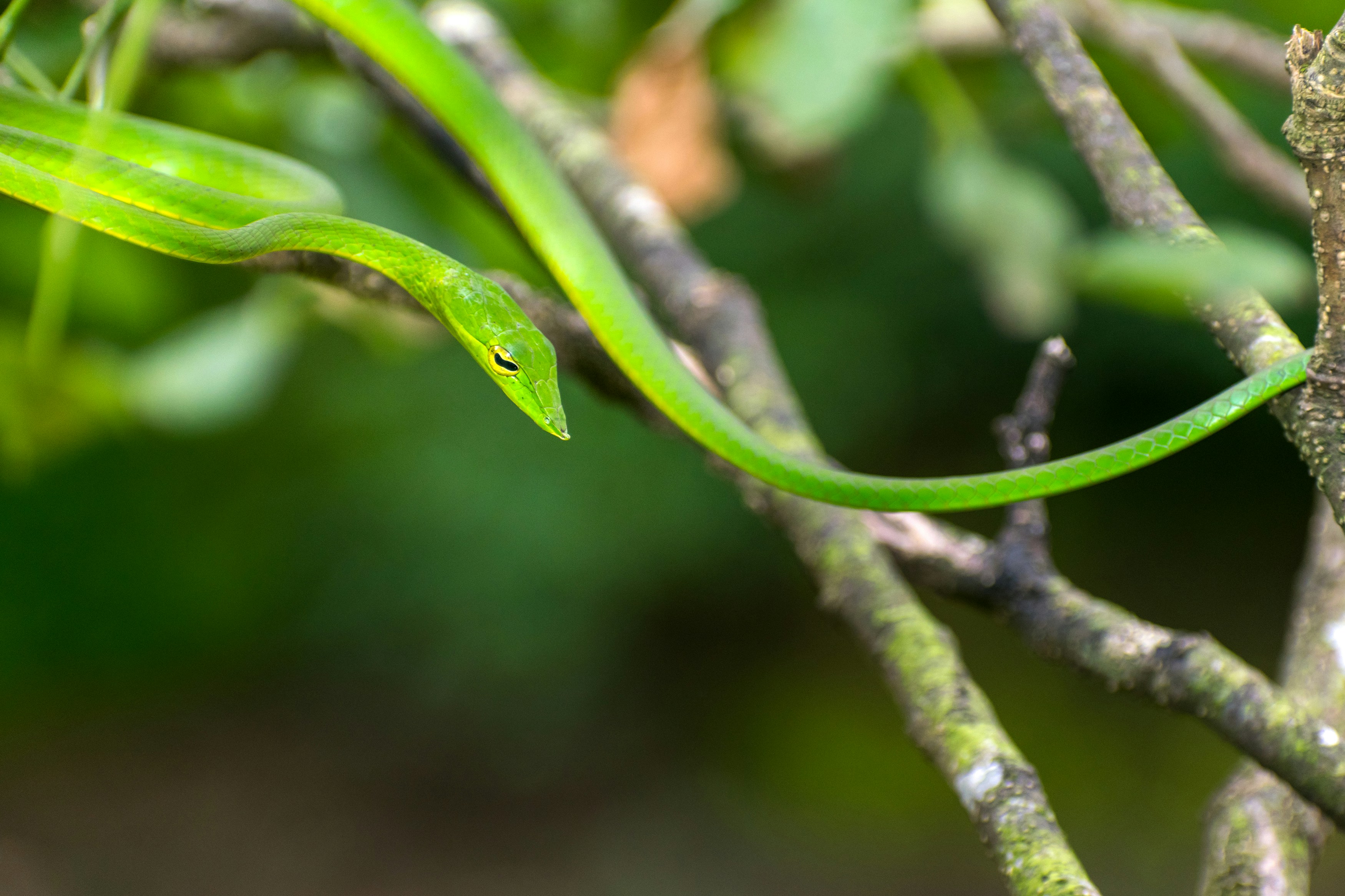 Photo by sonika_agarwal