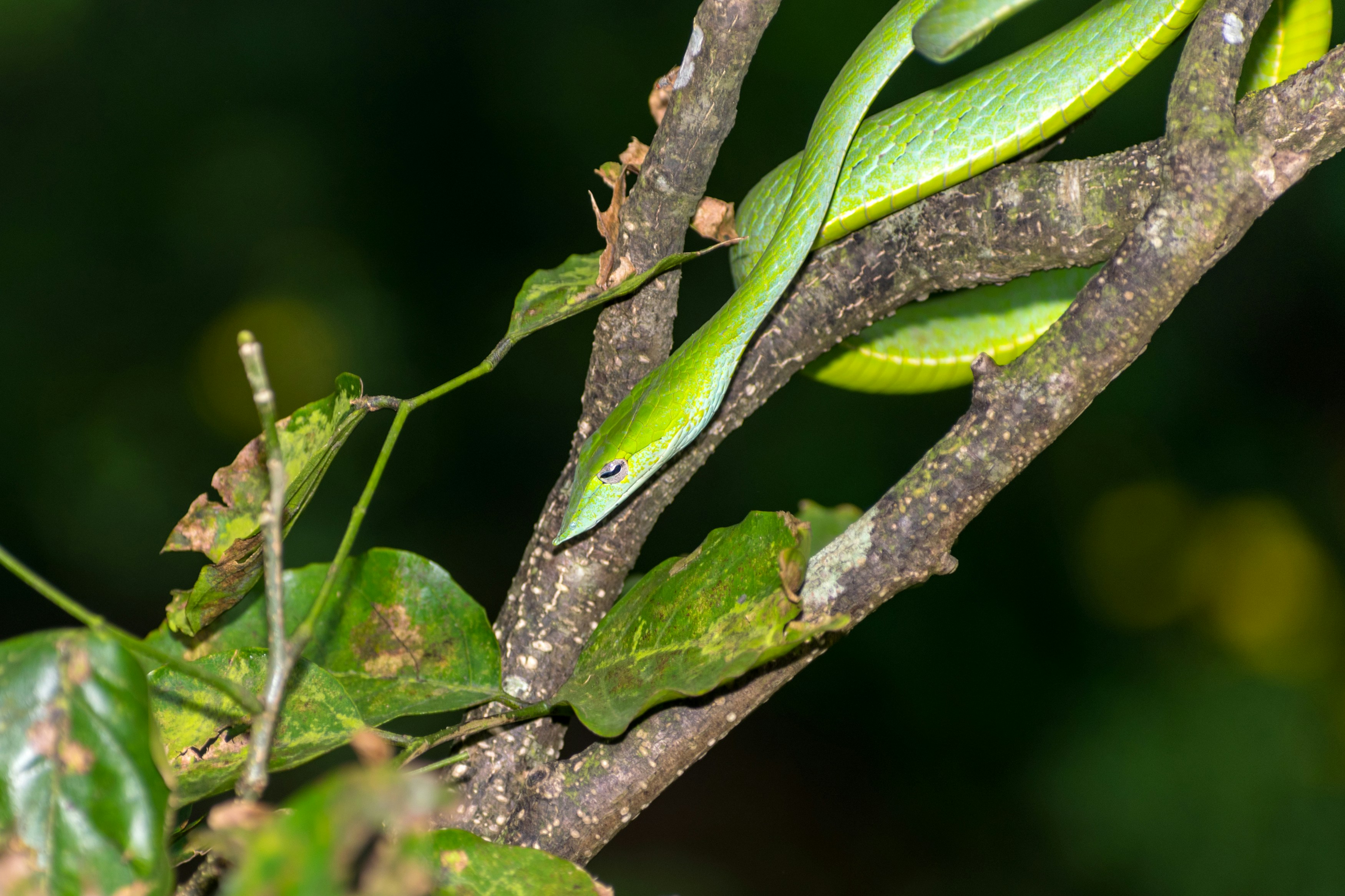 Photo by sonika_agarwal