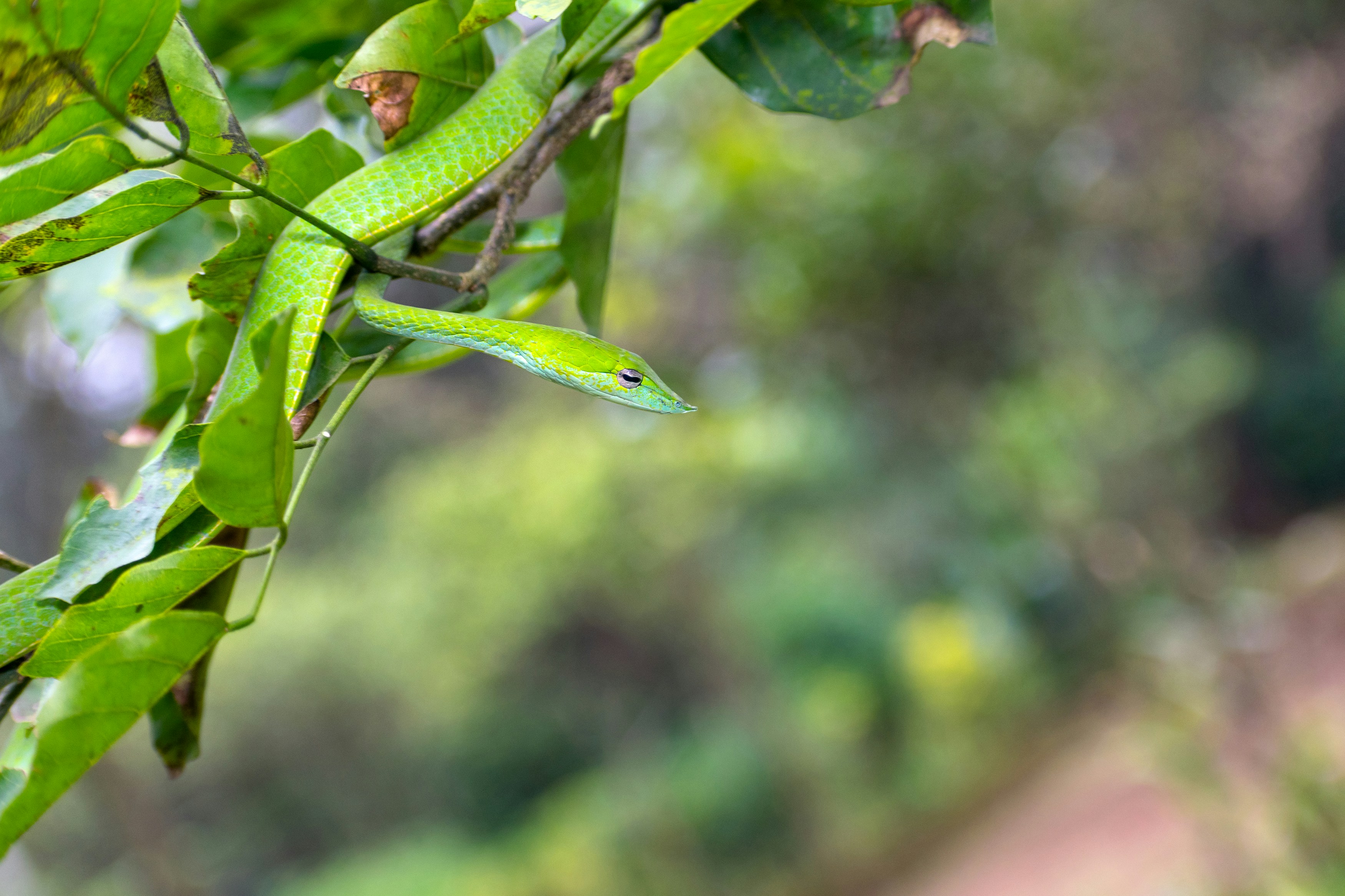 Photo by sonika_agarwal