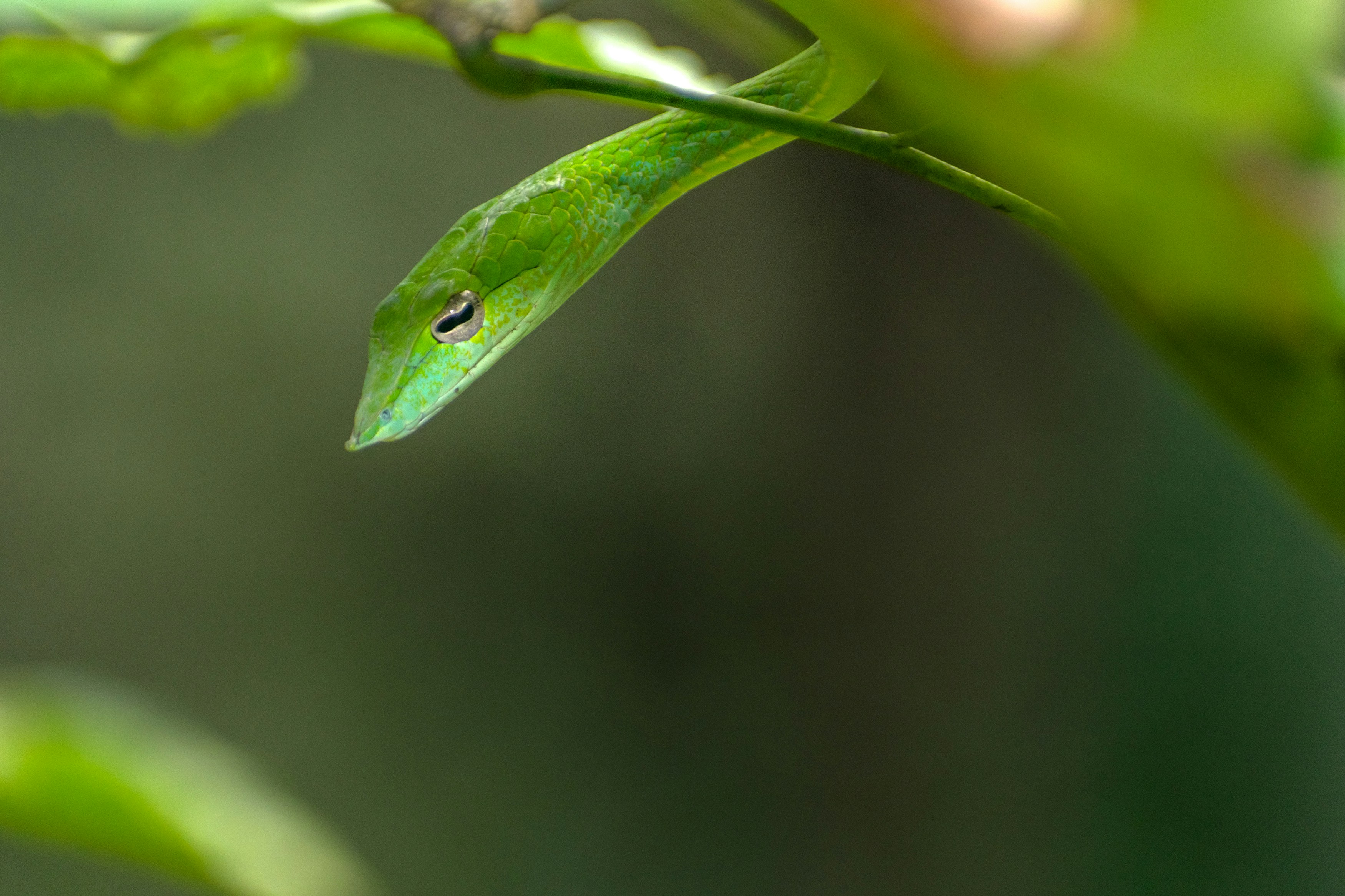 Photo by sonika_agarwal