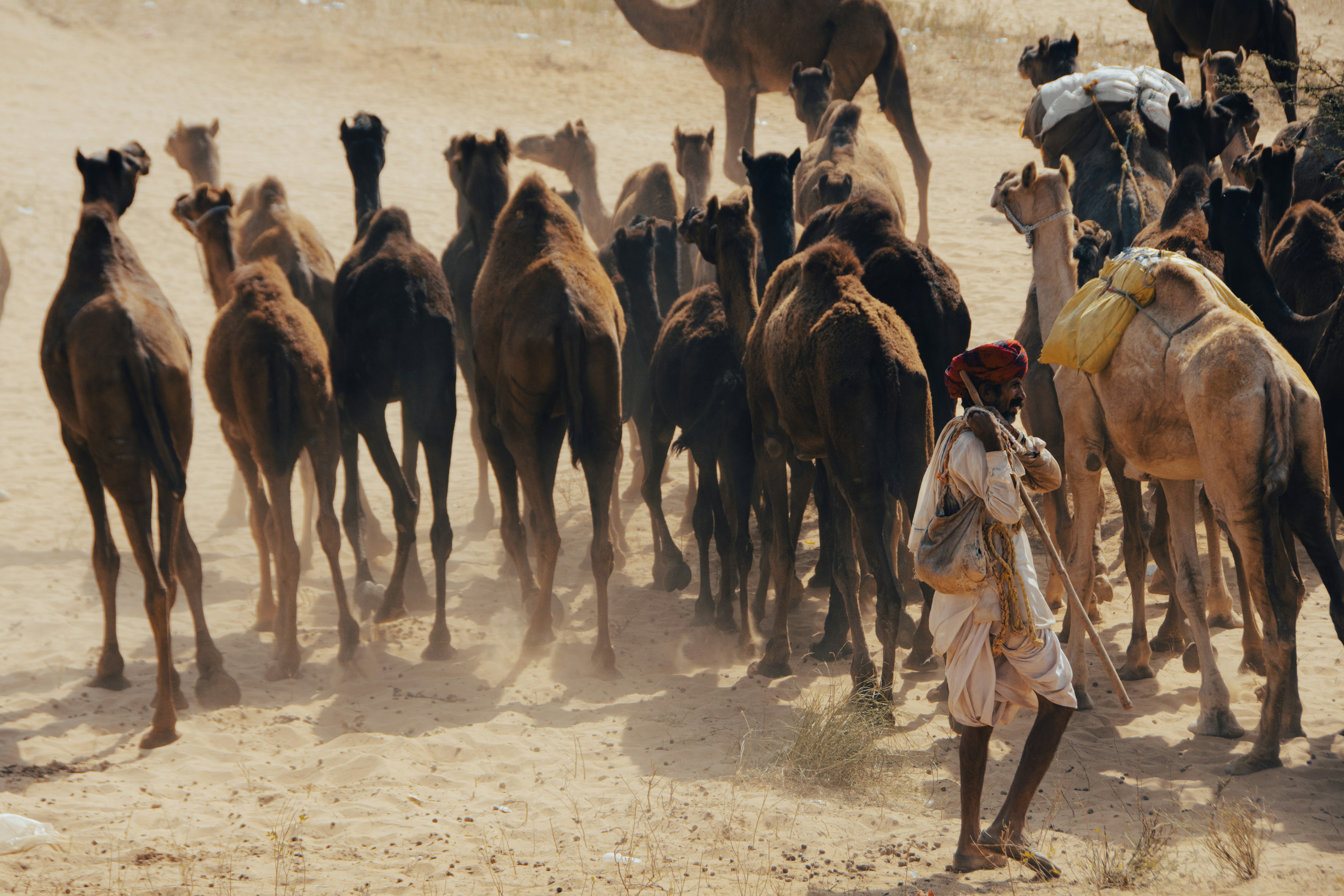 Photo by prashant_bamnawat_