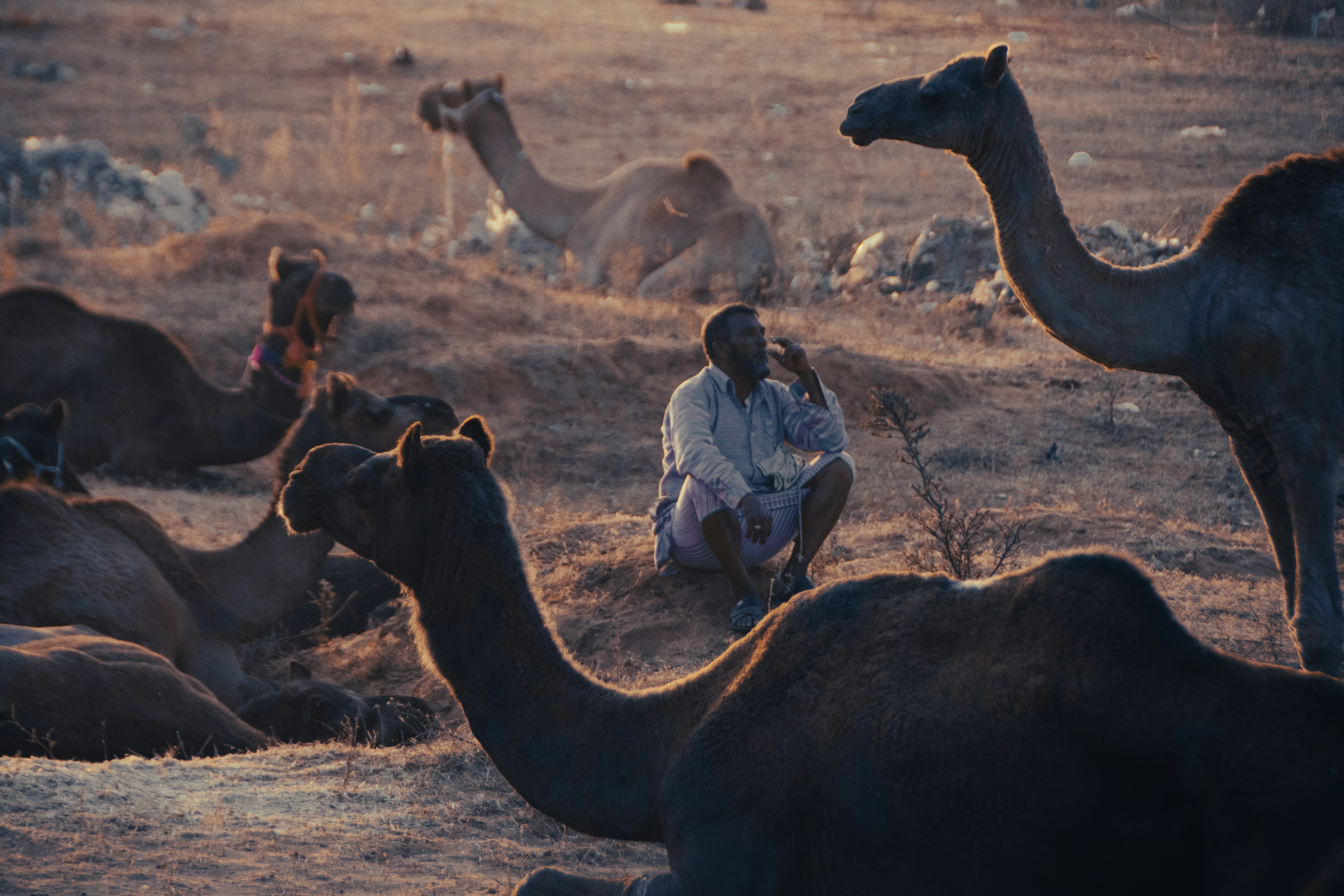Photo by prashant_bamnawat_