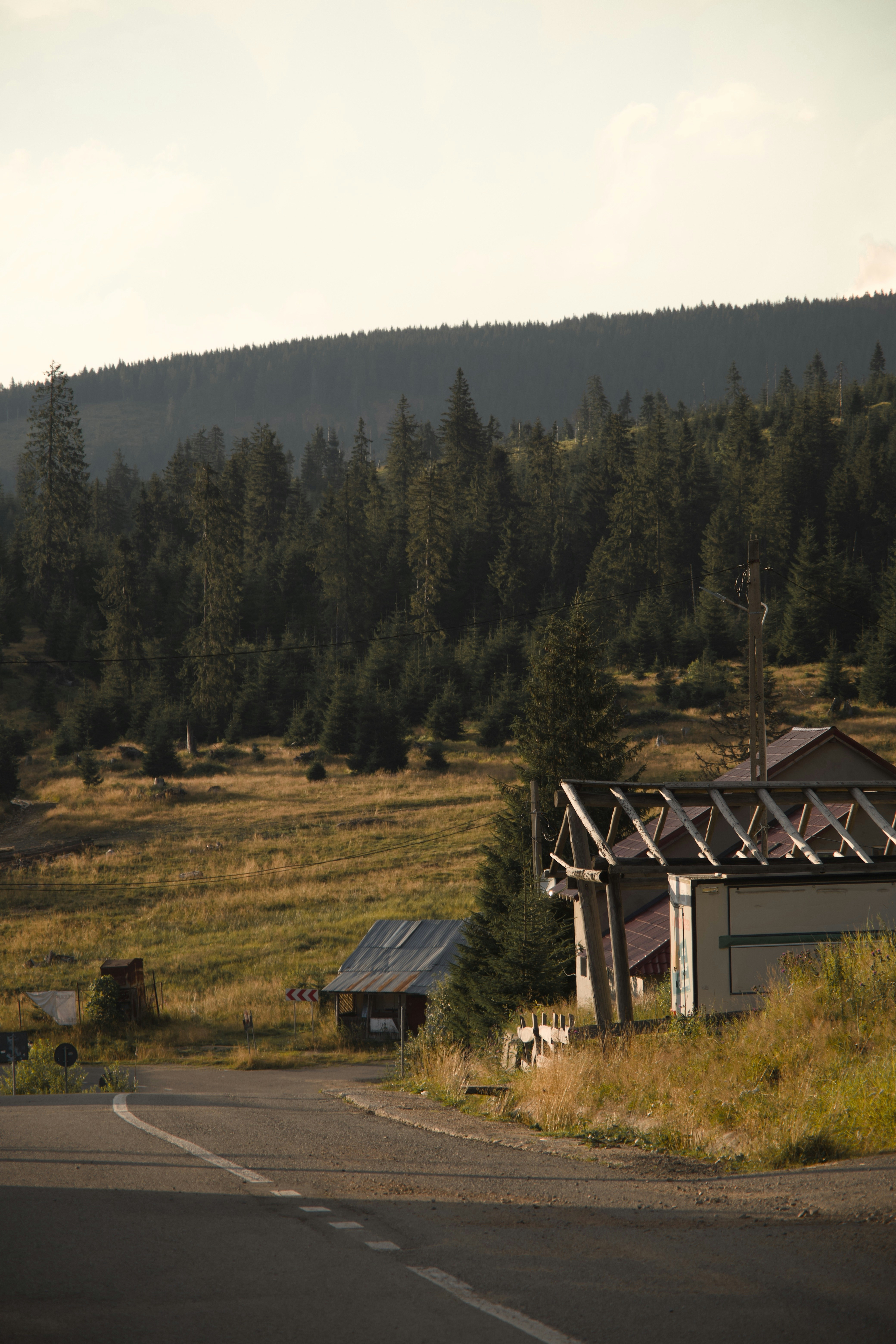 Photo by adamhornyak