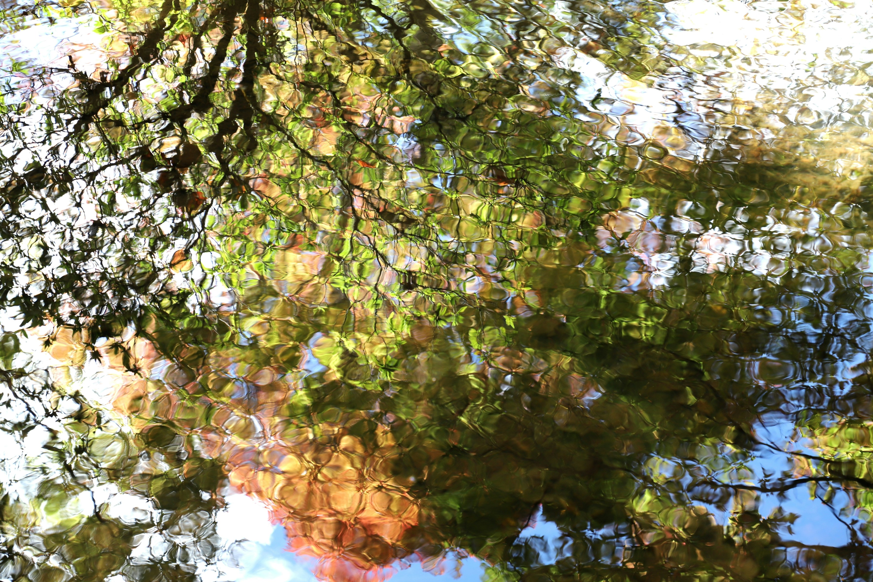 Photo by small_robert