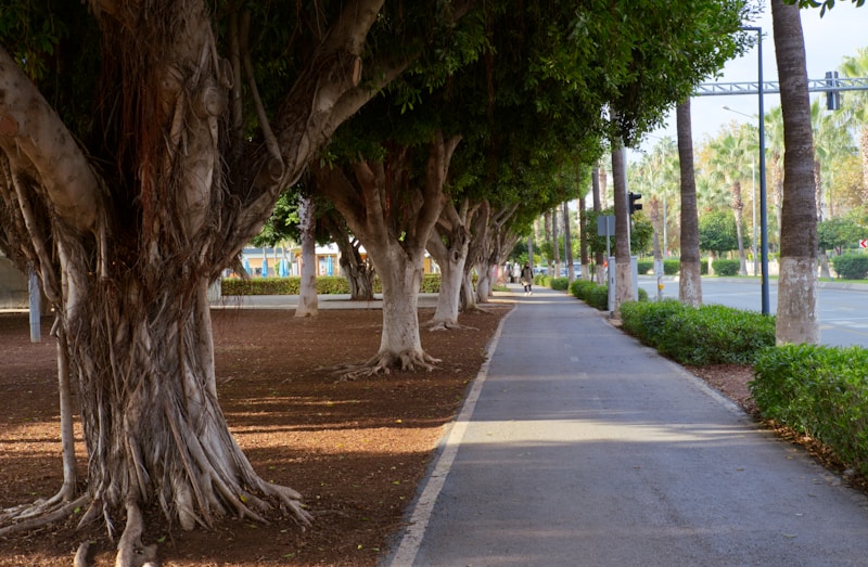 Vista do bairro Mont Serrat em Porto Alegre