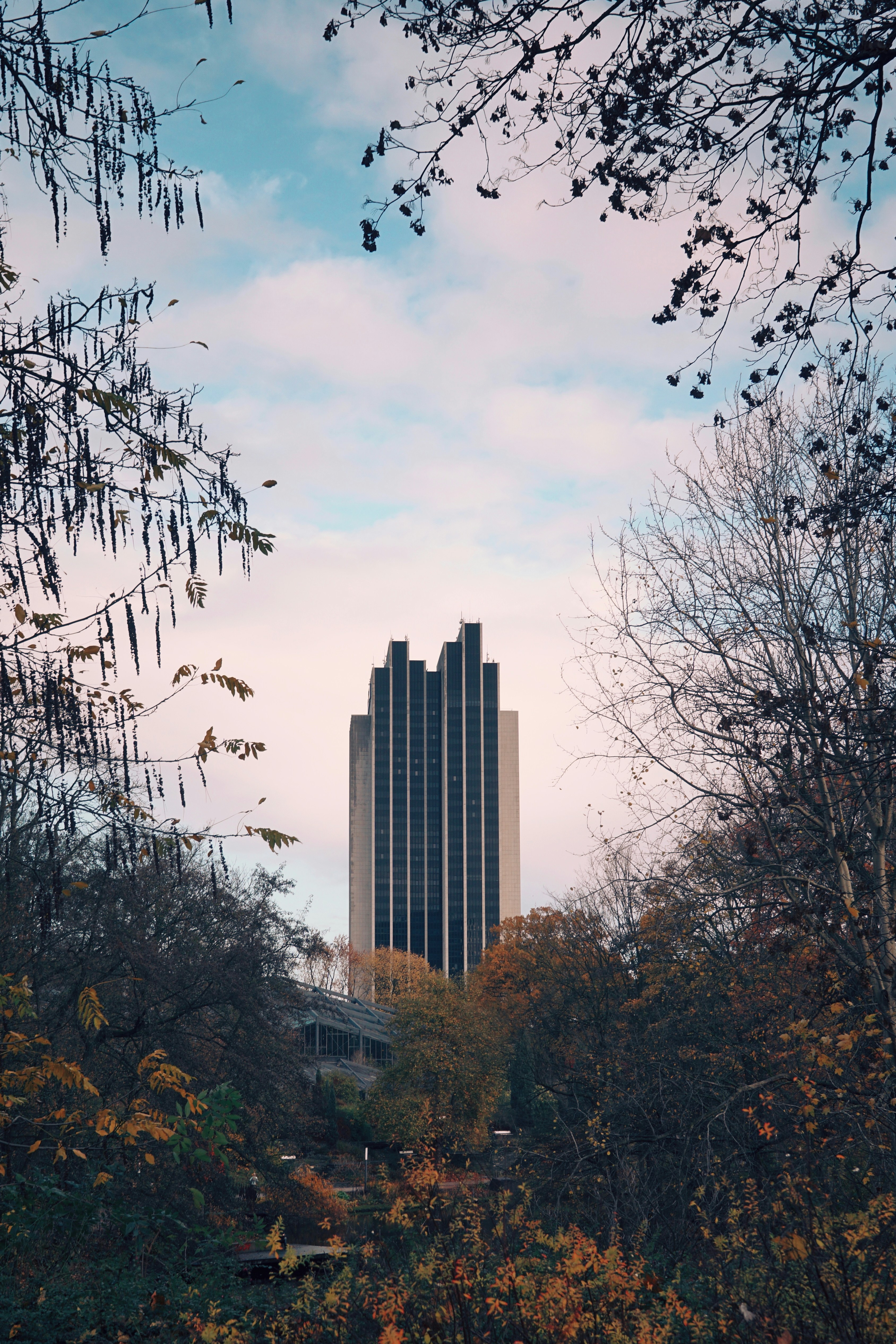 Ein veröffentlichtes Foto