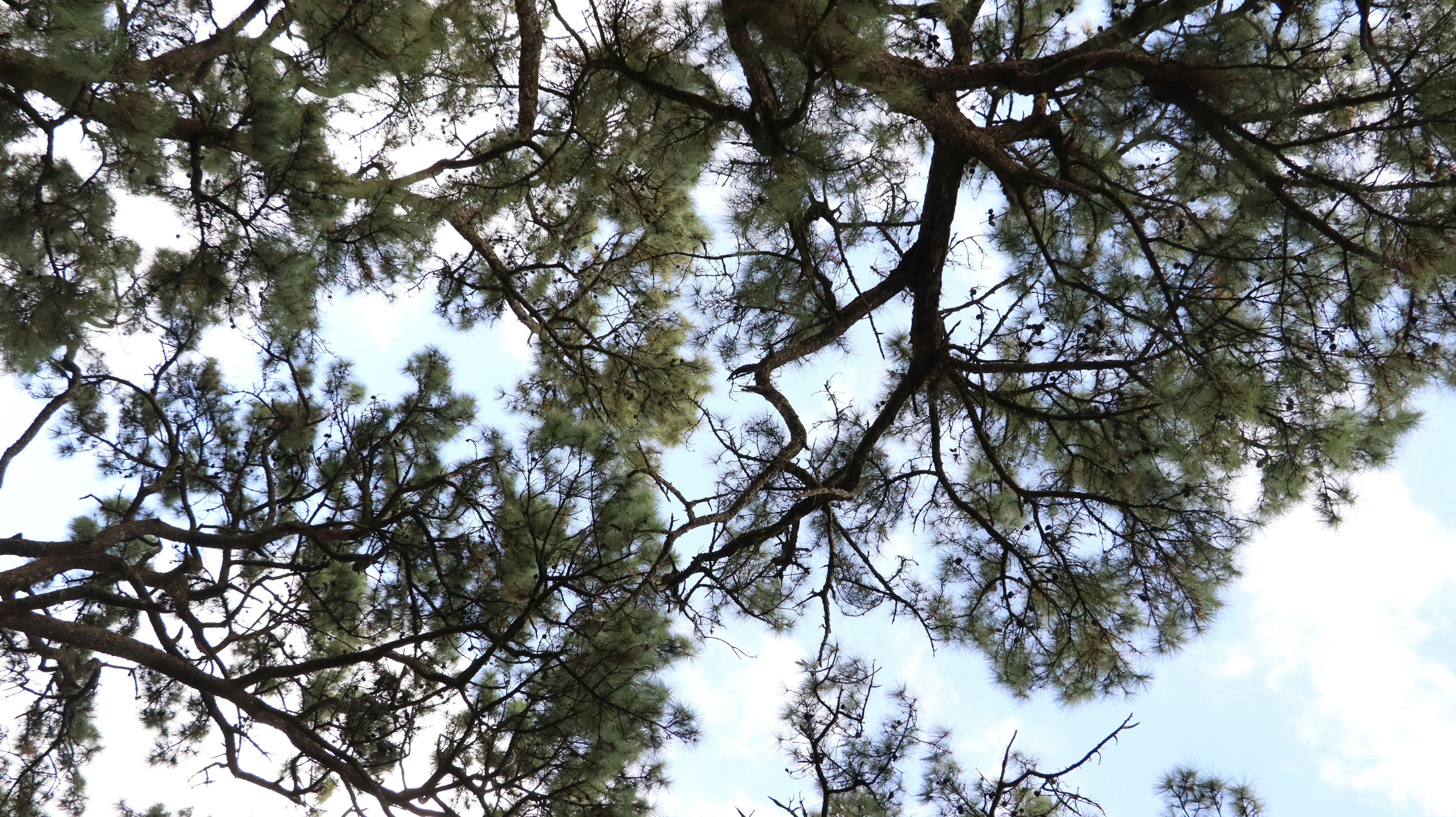 Future Horizons and Ongoing Research (image credits: unsplash)