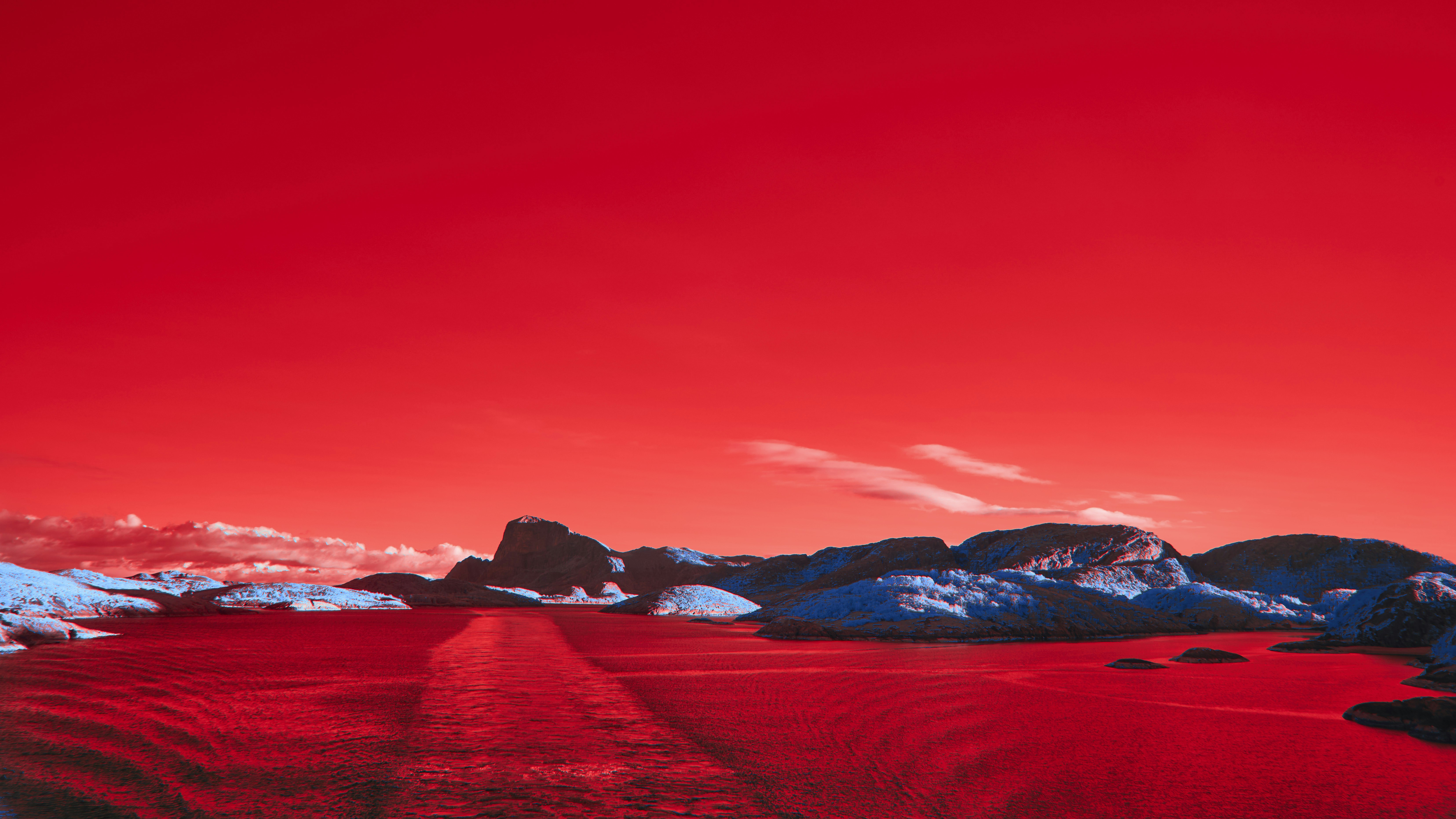 Photo by wolfgang_hasselmann