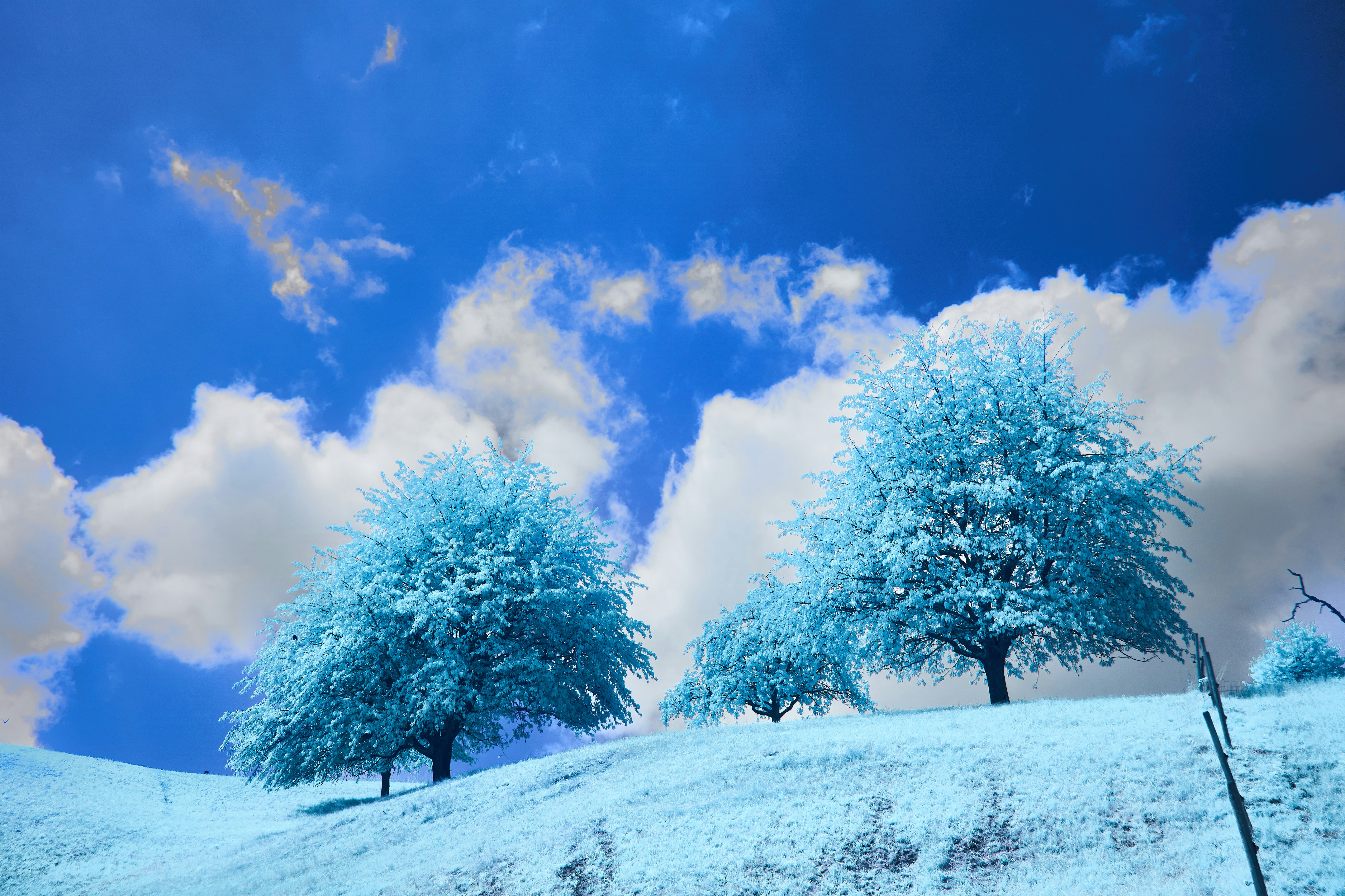 Photo by wolfgang_hasselmann