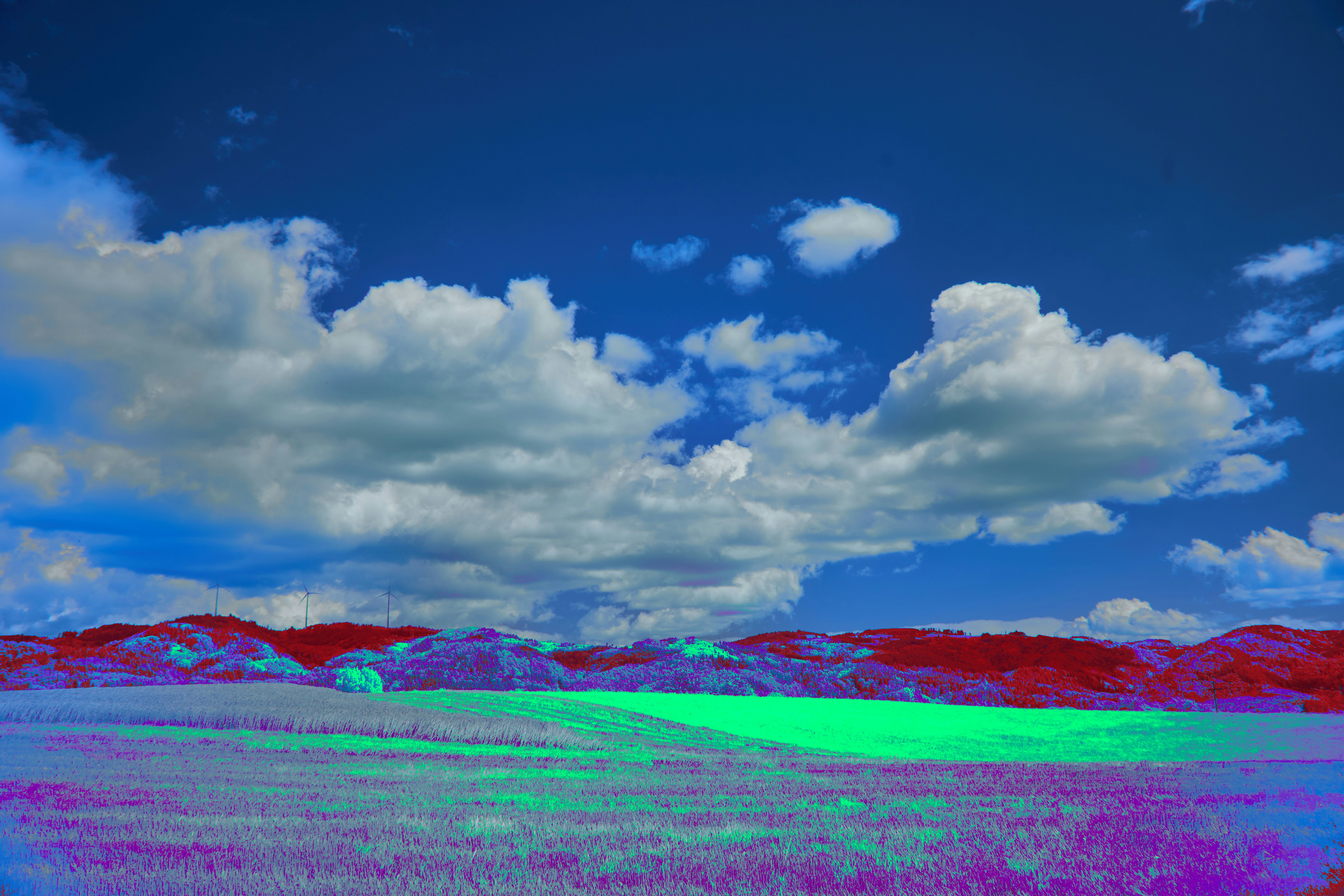 Photo by wolfgang_hasselmann