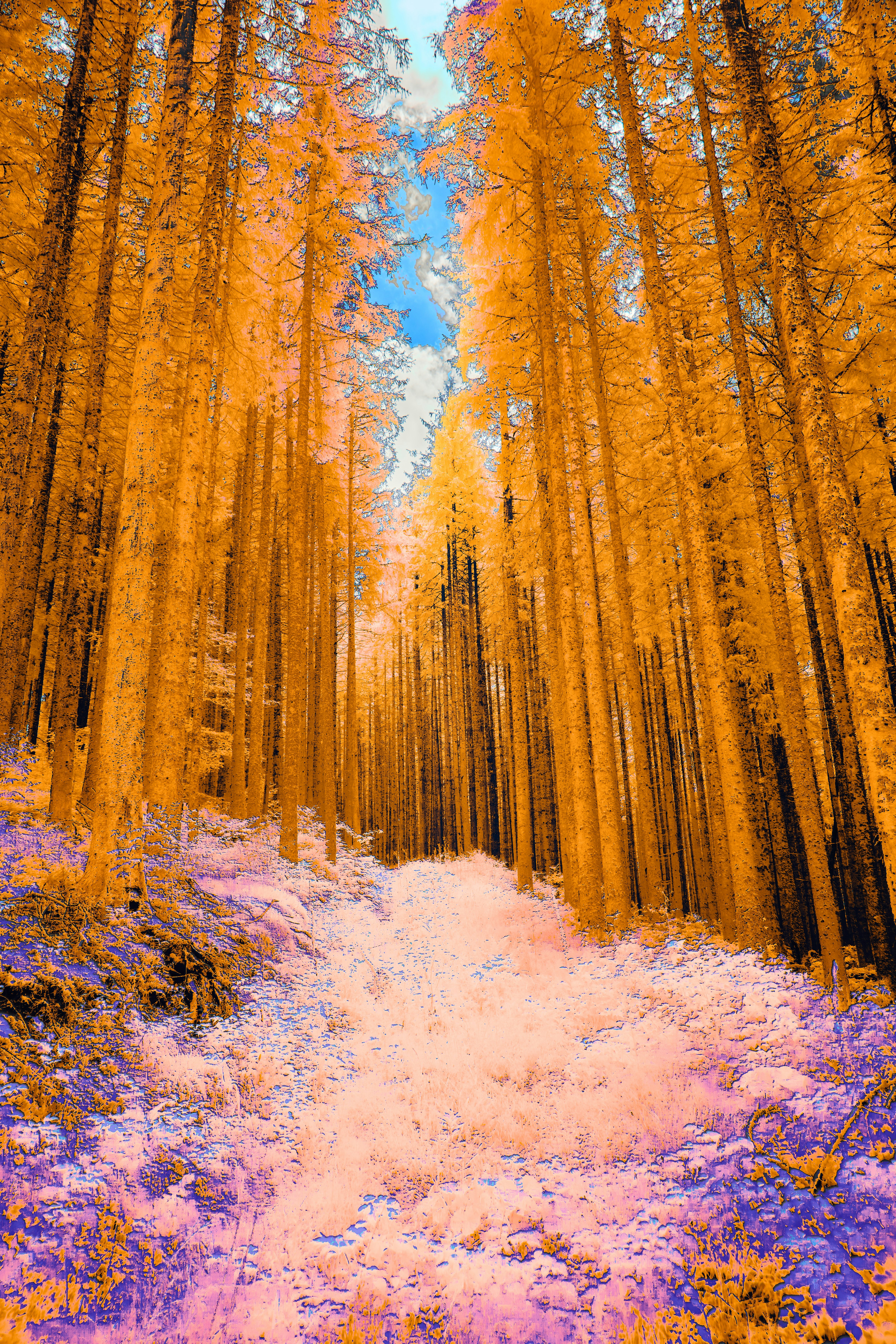 Photo by wolfgang_hasselmann