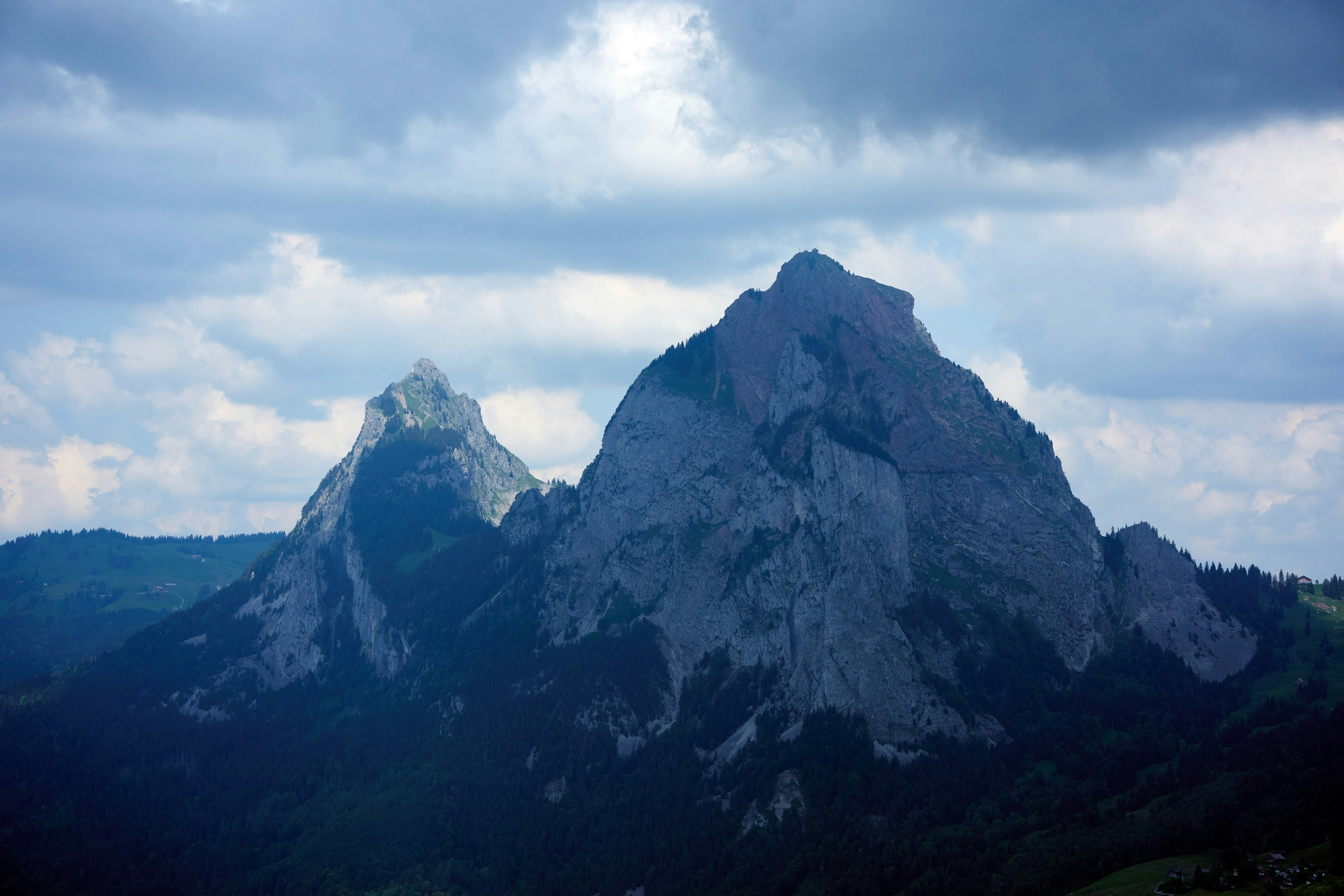 Photo by wolfgang_hasselmann