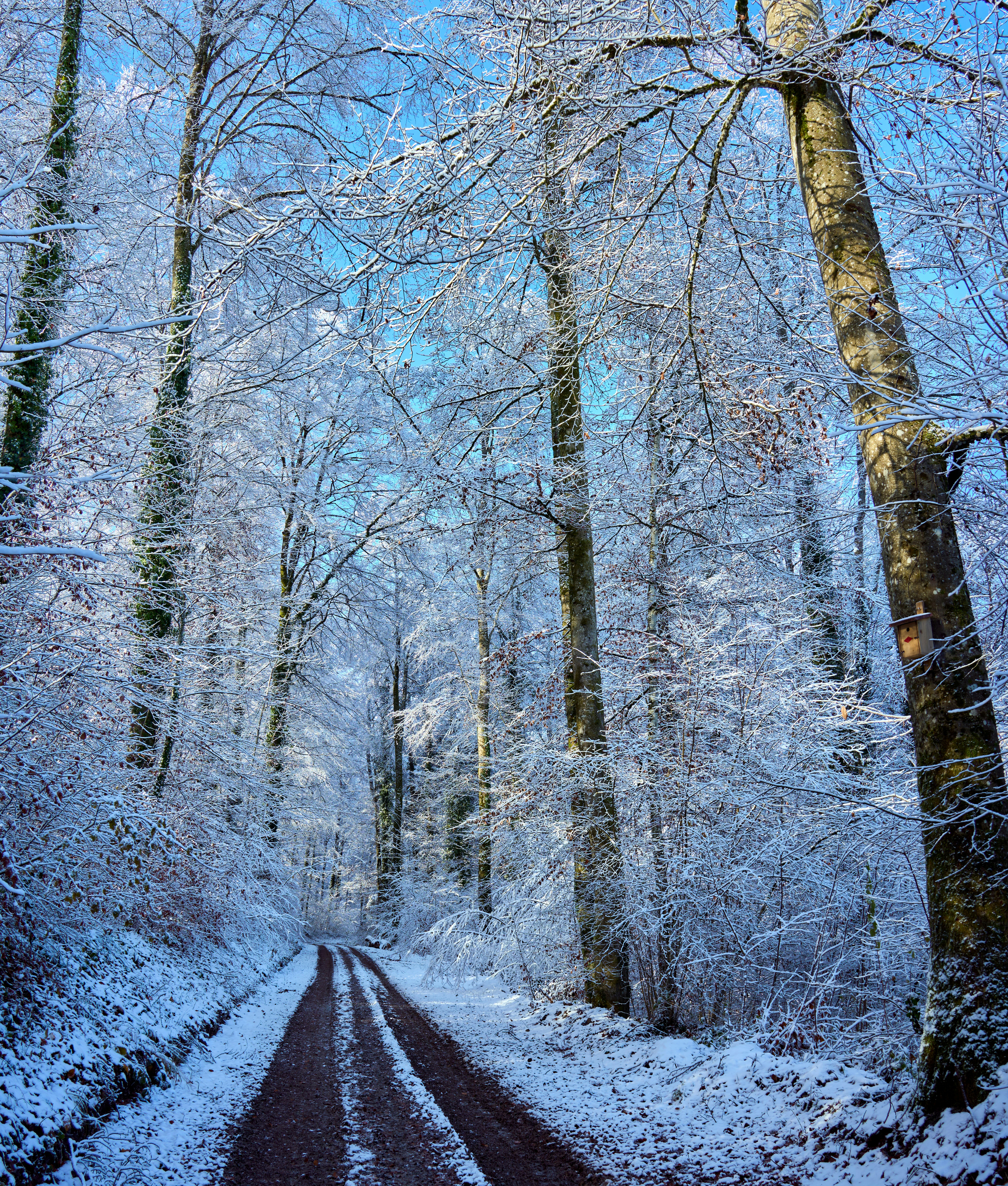 Photo by wolfgang_hasselmann