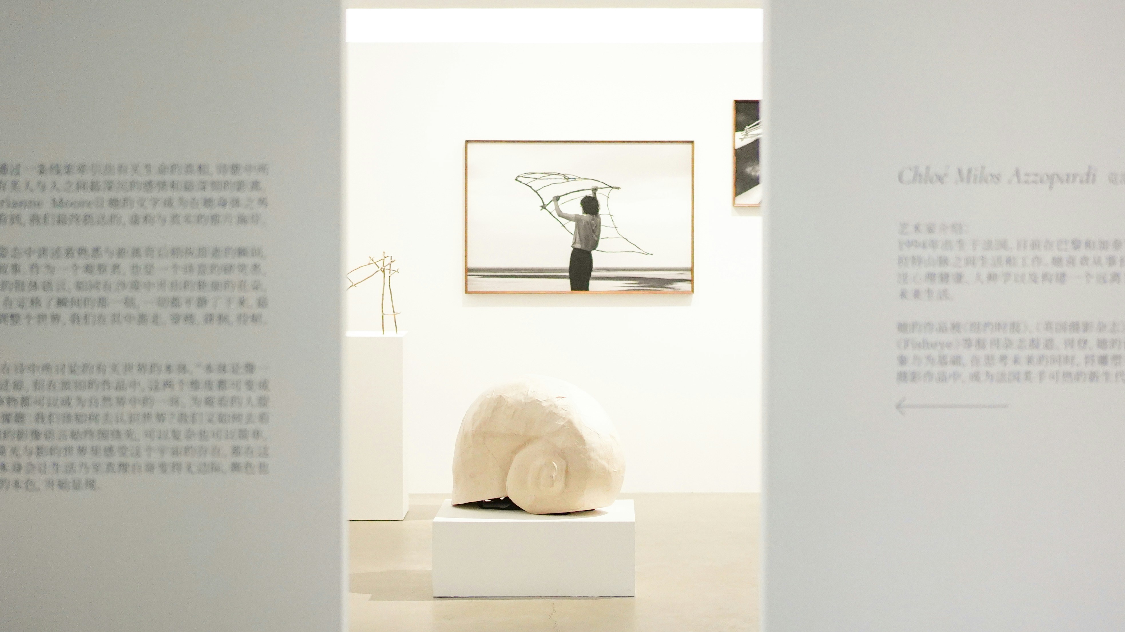 Clean white gallery space with botanical artwork displayed on walls and natural light streaming in