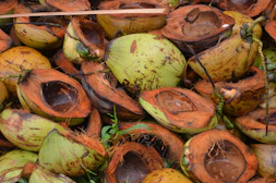 A pile of cut up coconuts sitting on top of each other