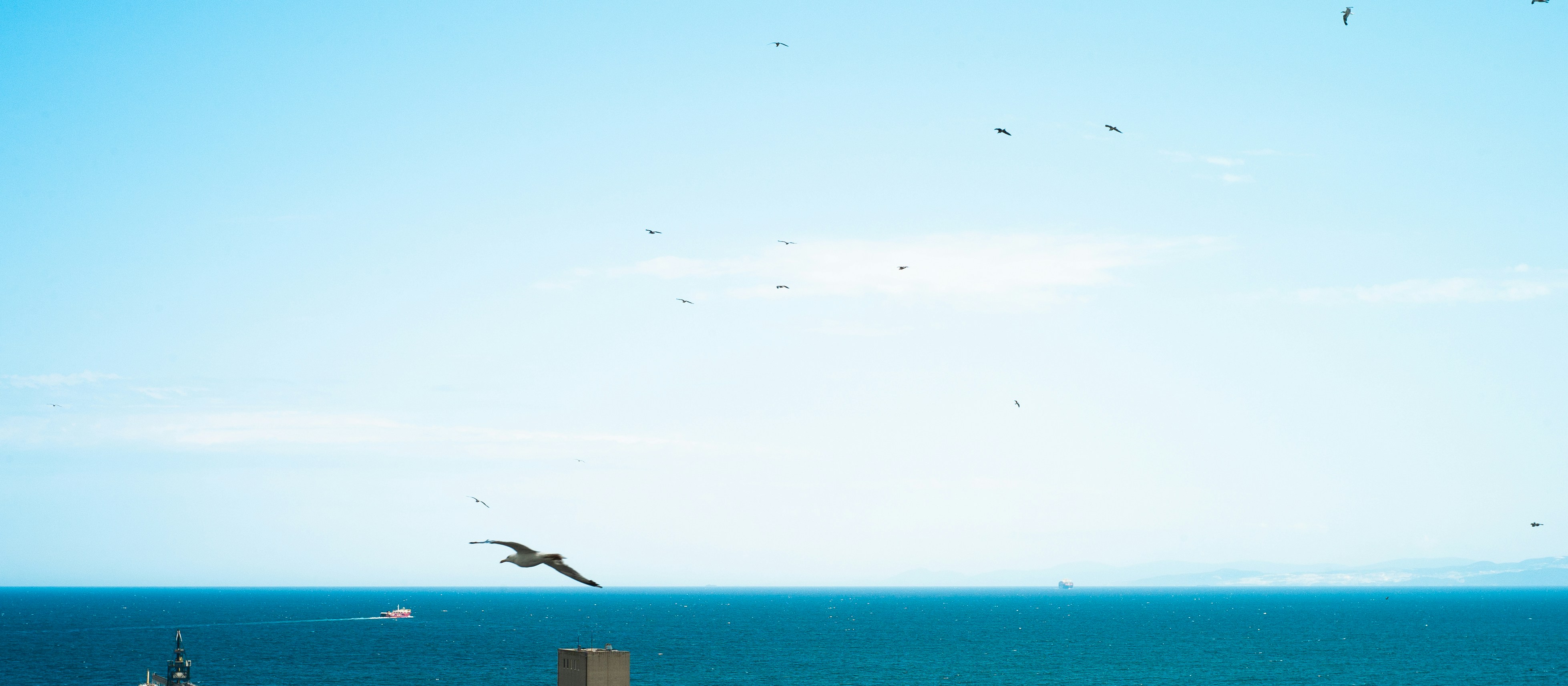 A group of people flying kites on top of a beach