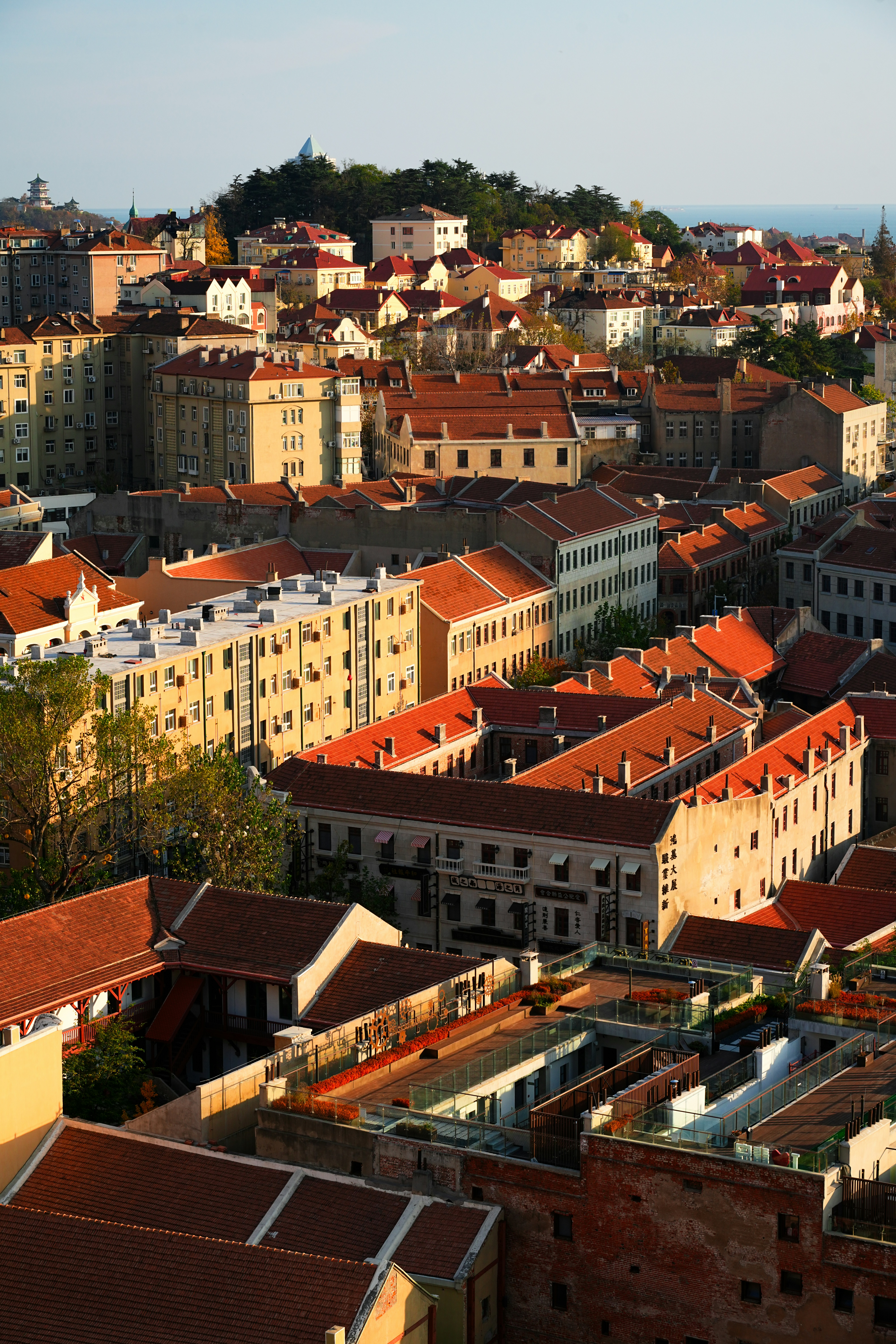 Photo by hattrick1996