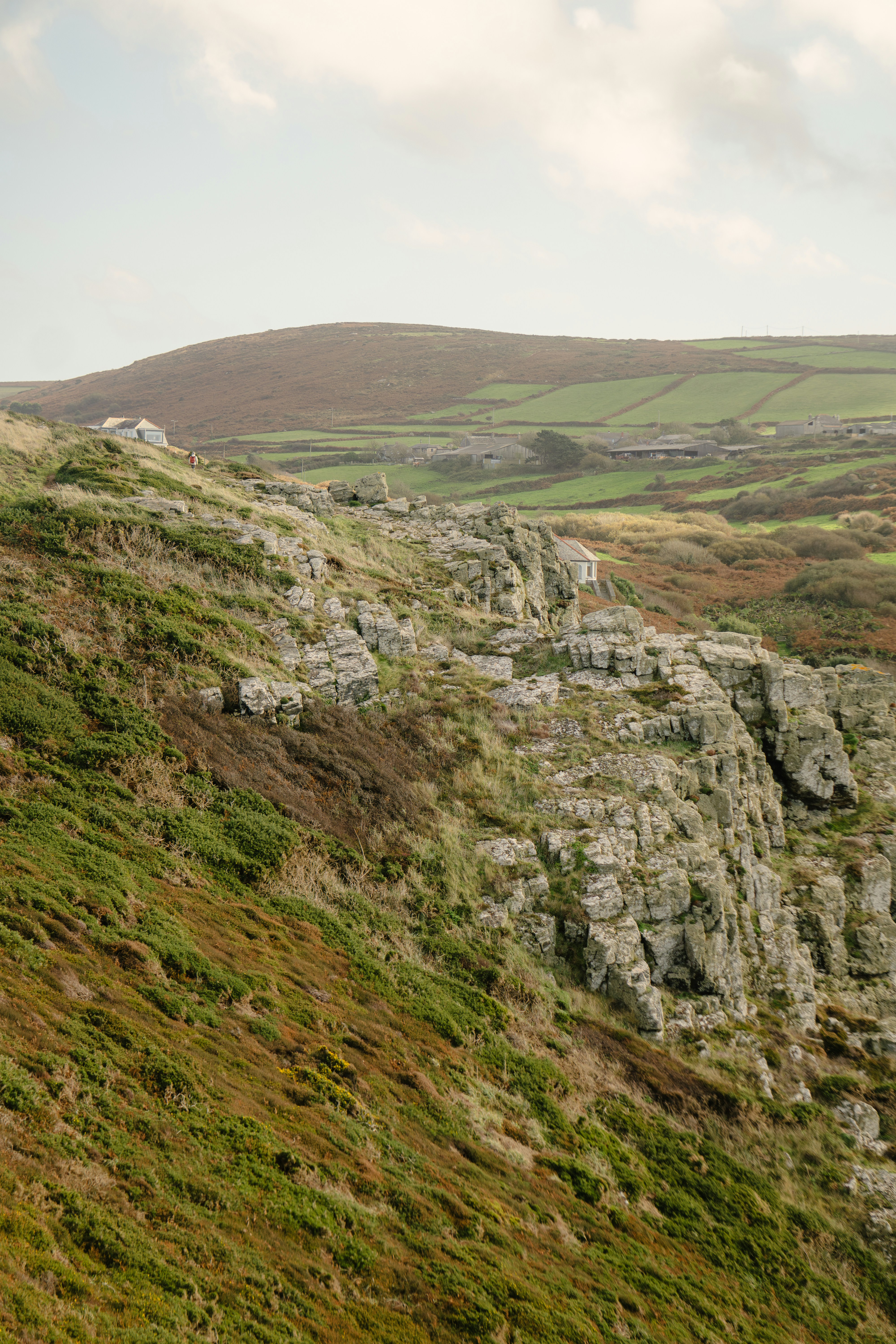 A person walking up a hill with a dog