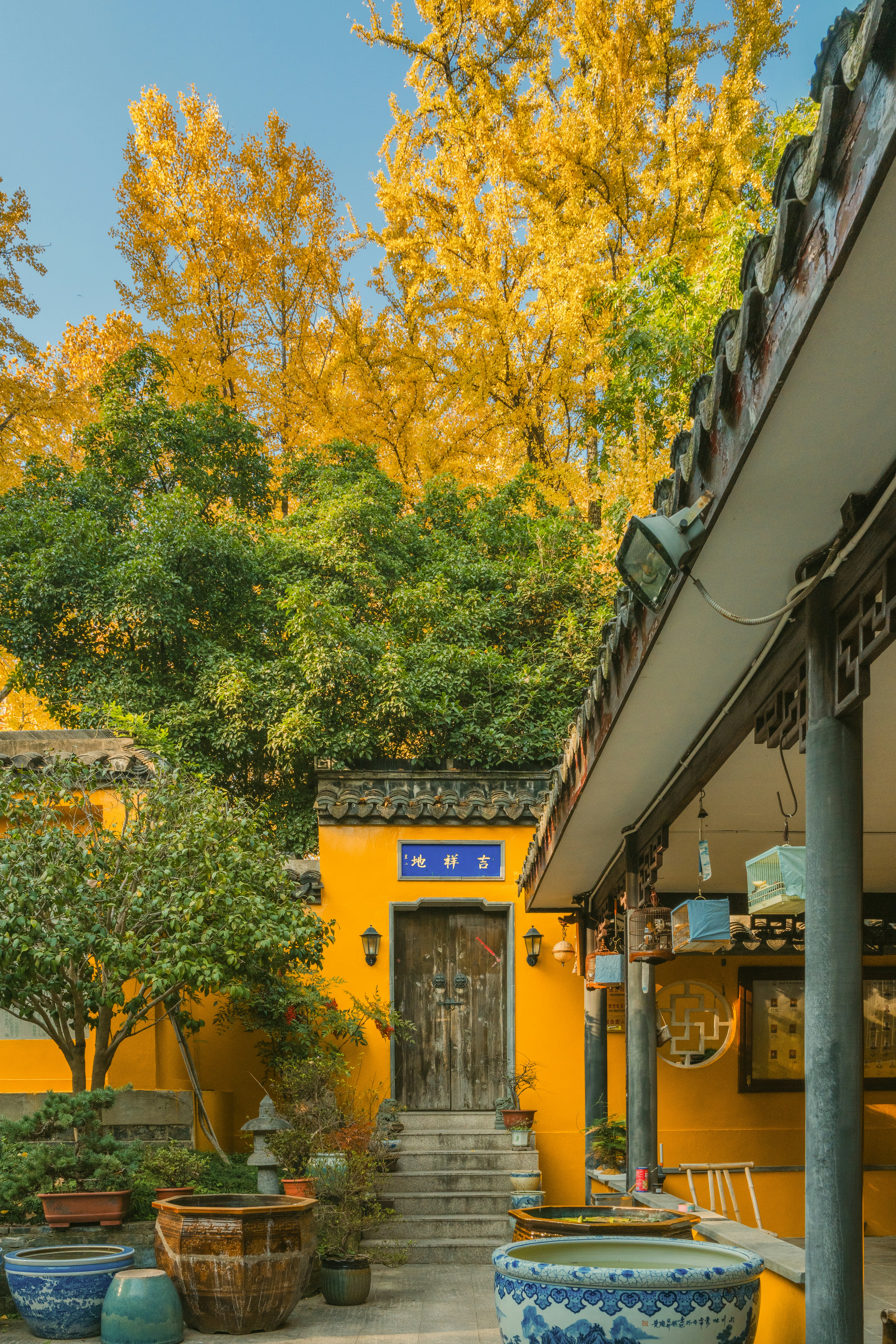 autumn patio