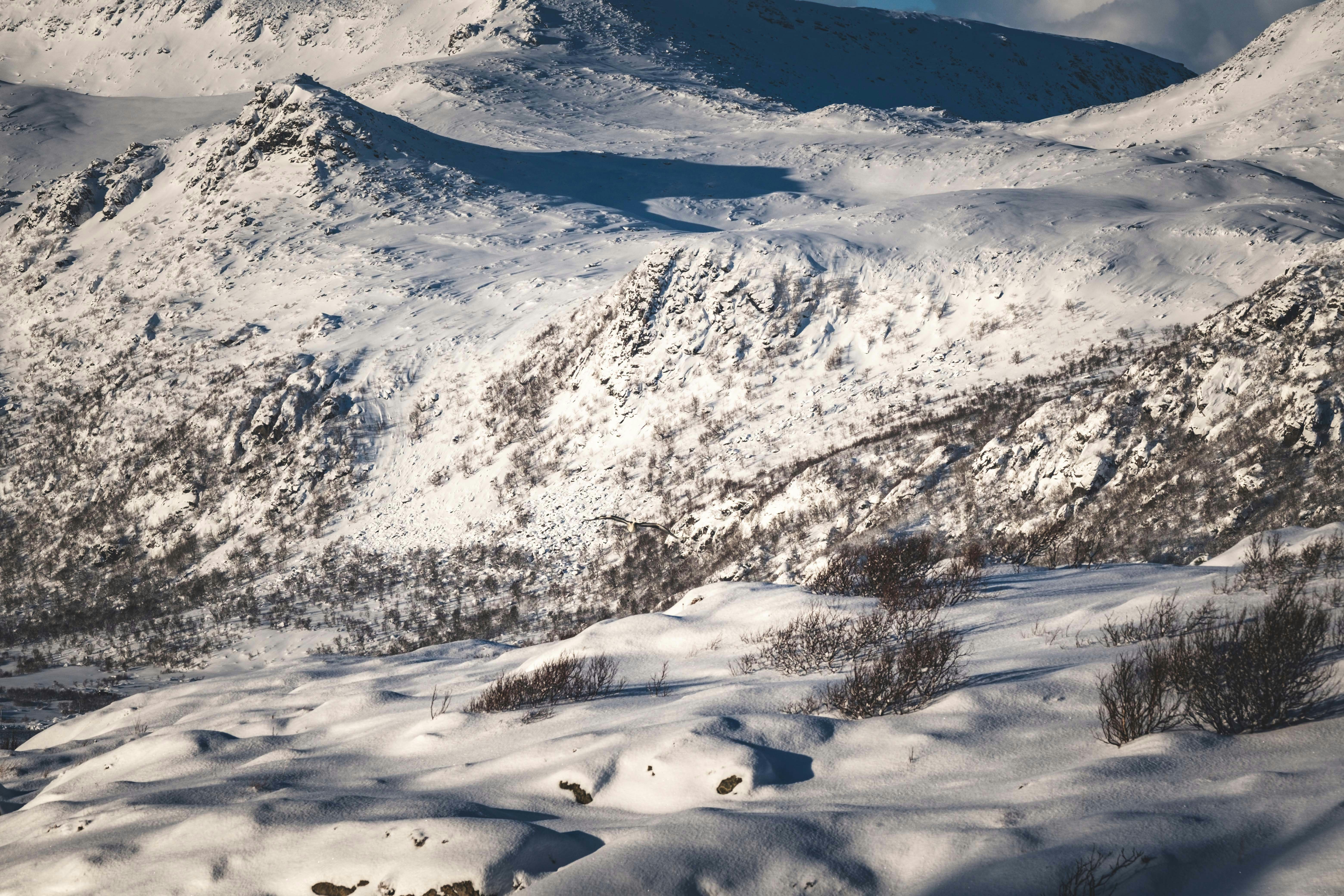 Photo by francesco_ungaro