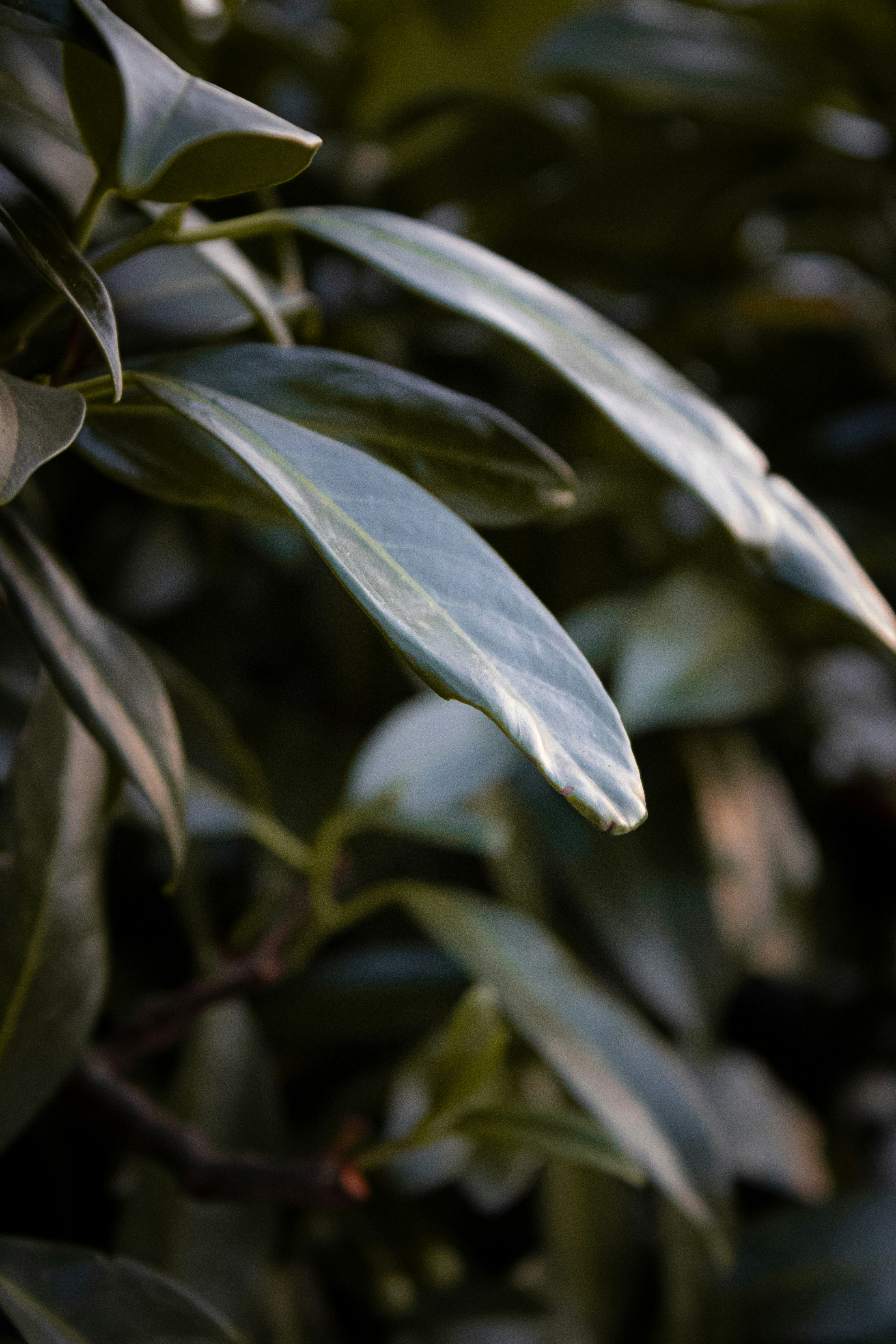 Photo by mihaelstojcevic