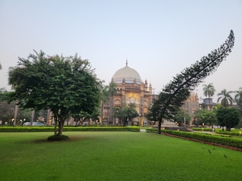 A view of a large building from a park