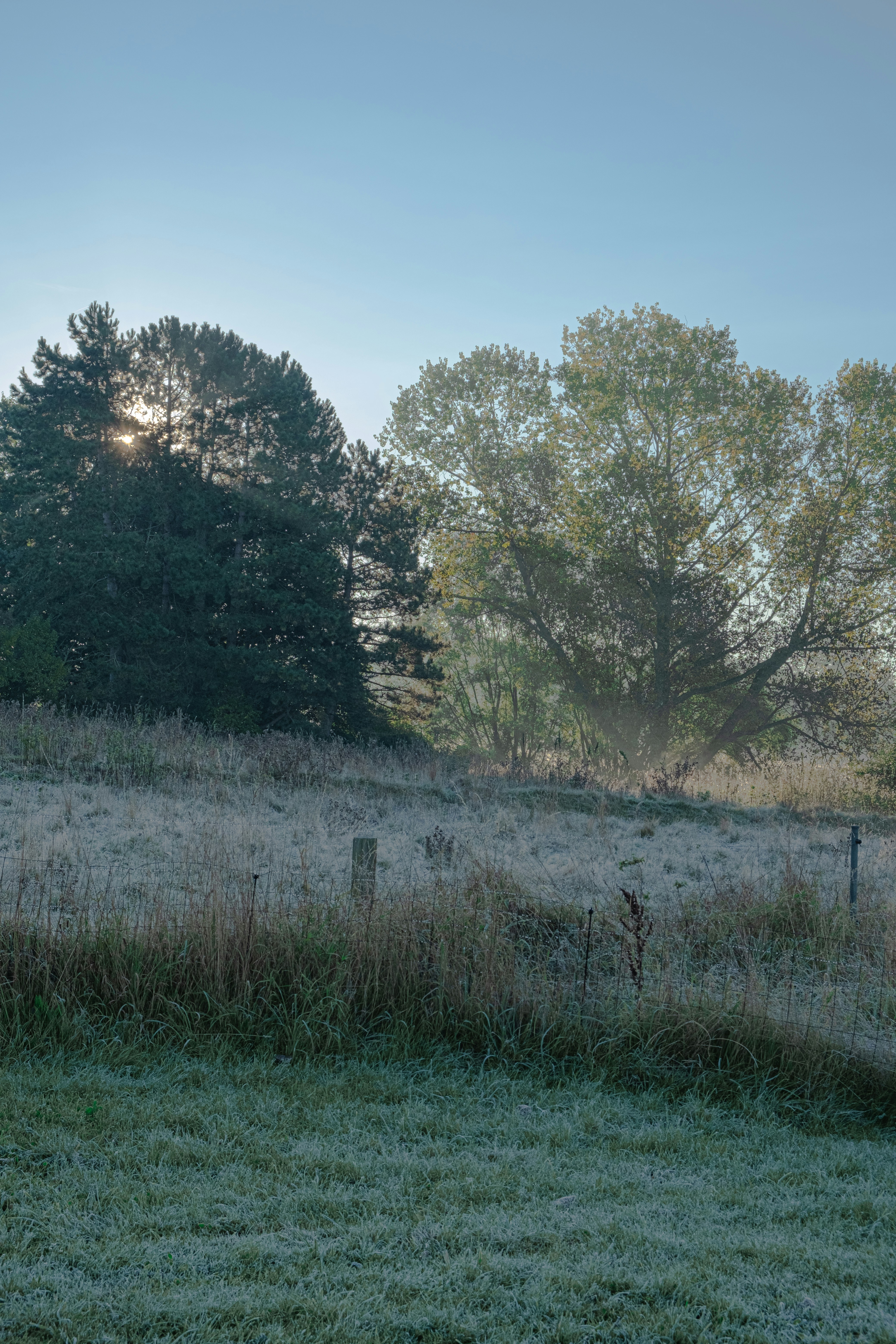 Photo by linekjaer